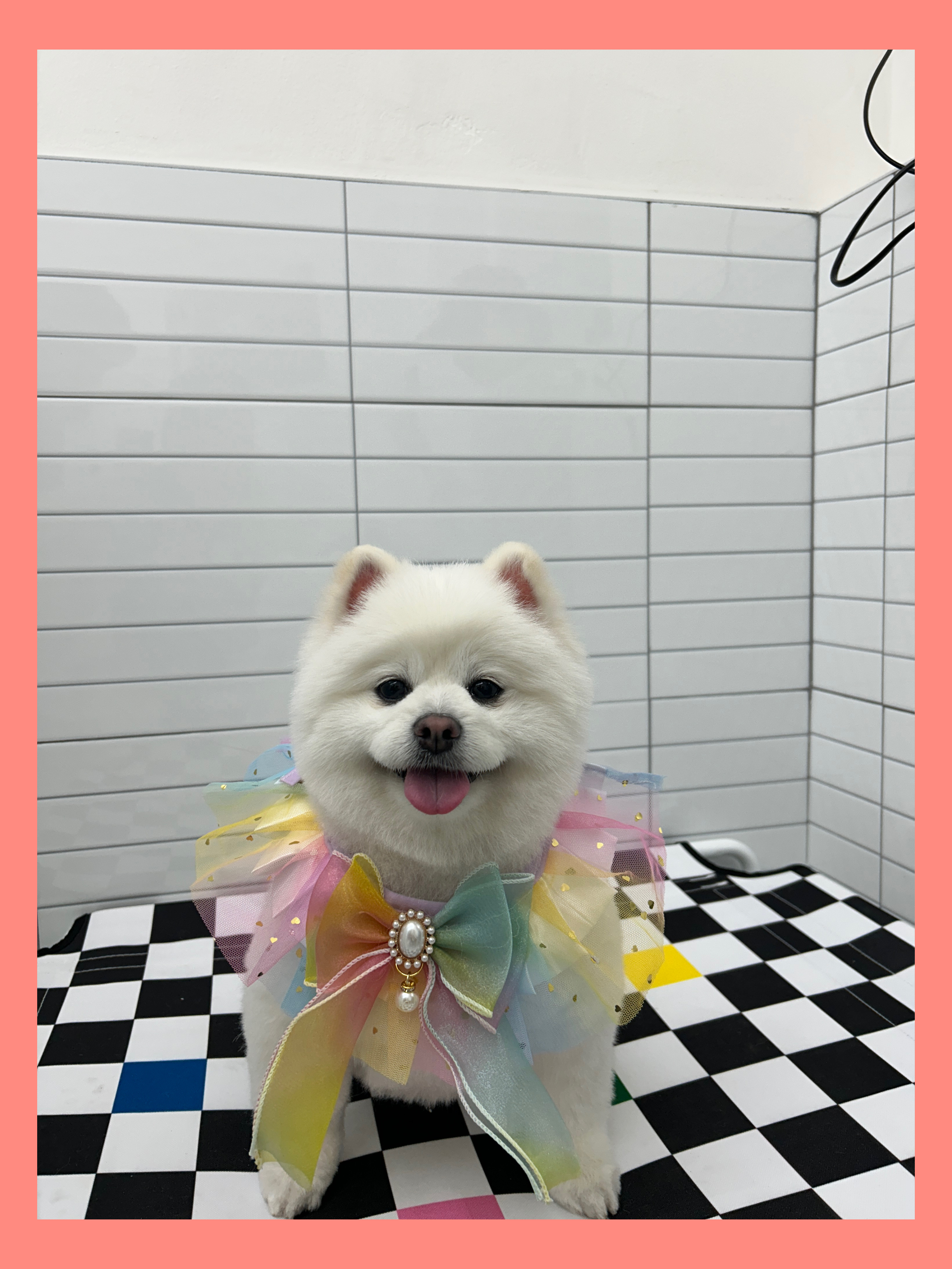 멍.슈슈 대표 이미지