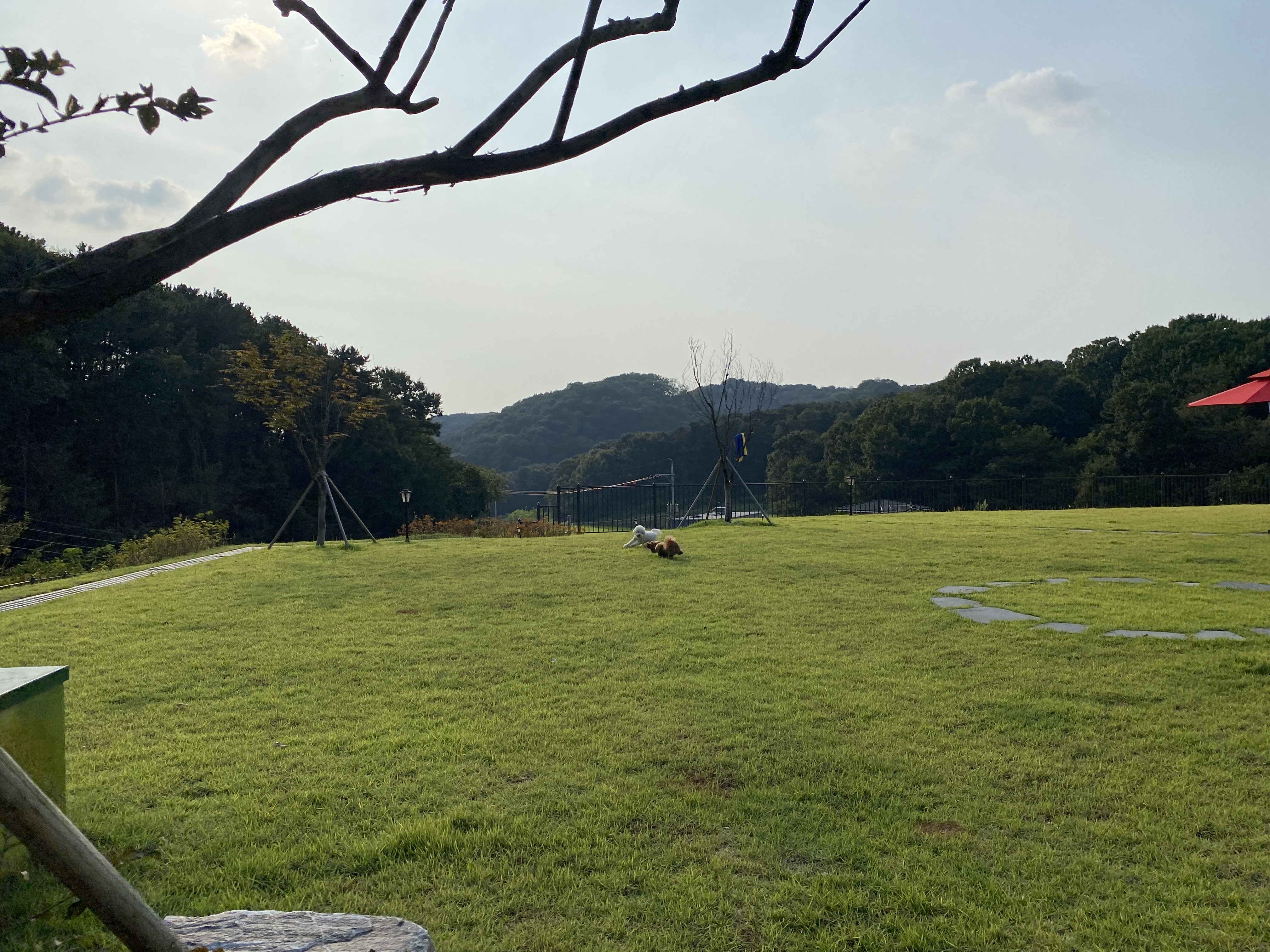 리틀포레스트 대표 이미지