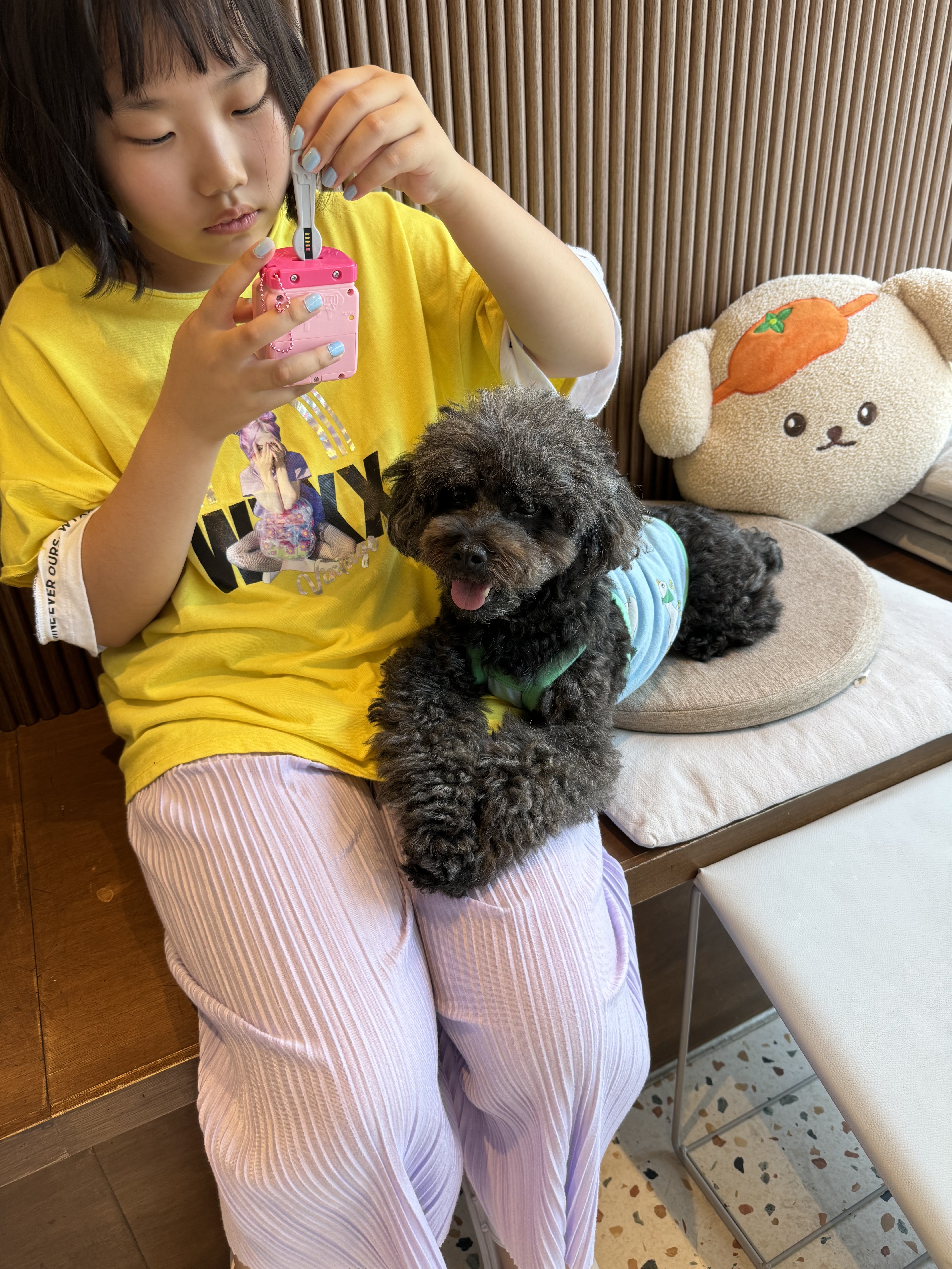 애견용품전문업체 추천 서울 강북구 지역 우수업체 강아지목줄 강아지쿨나시 강아지쿨조끼 보니더펫