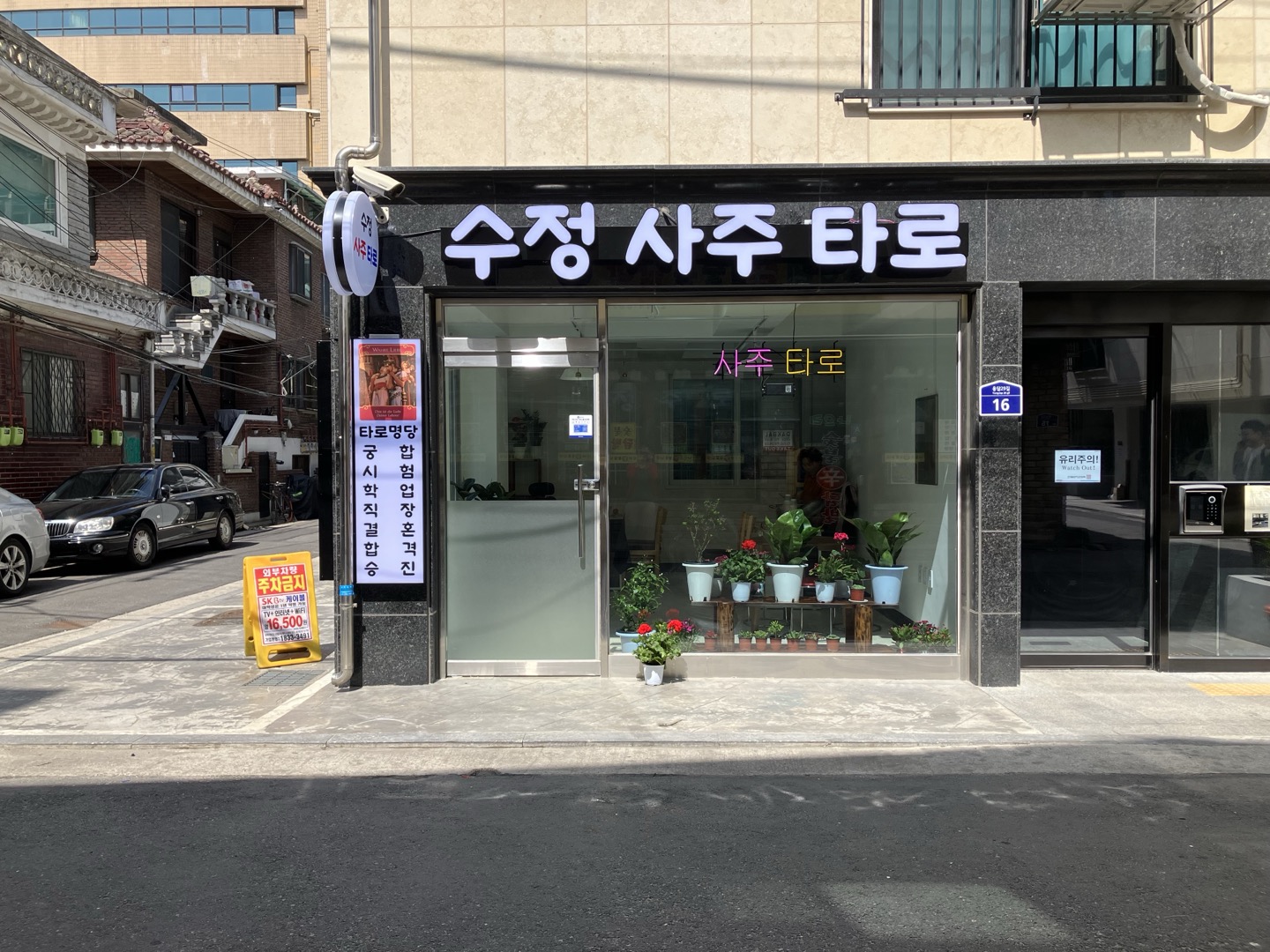 수정 사주 타로