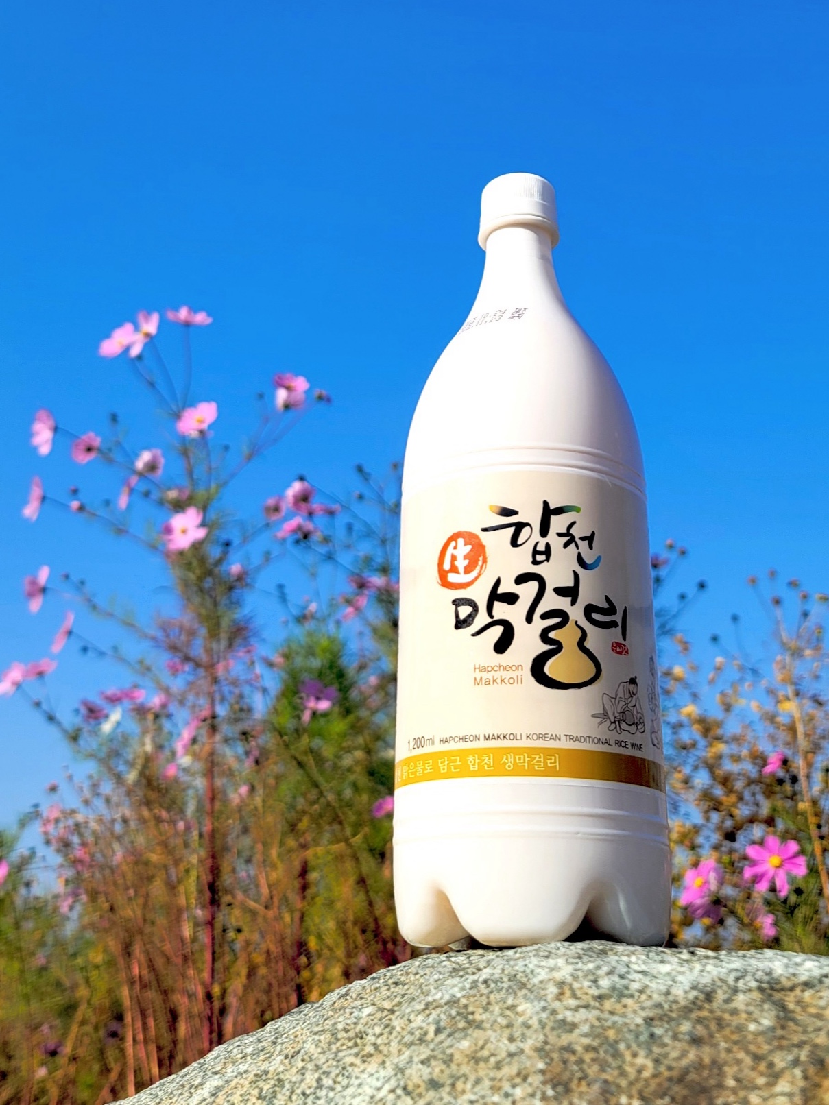 영농조합법인 합천막걸리