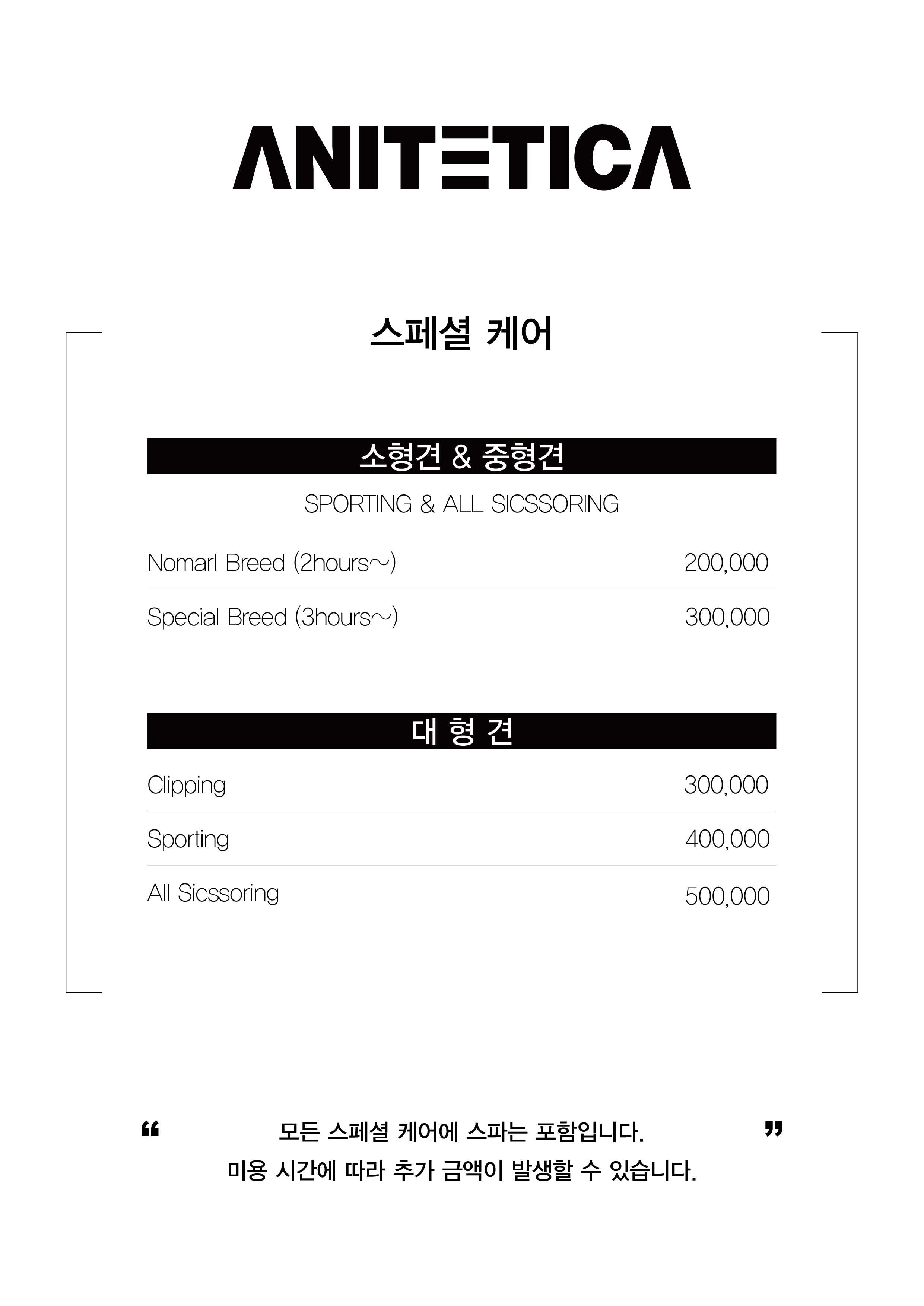 애니테티카