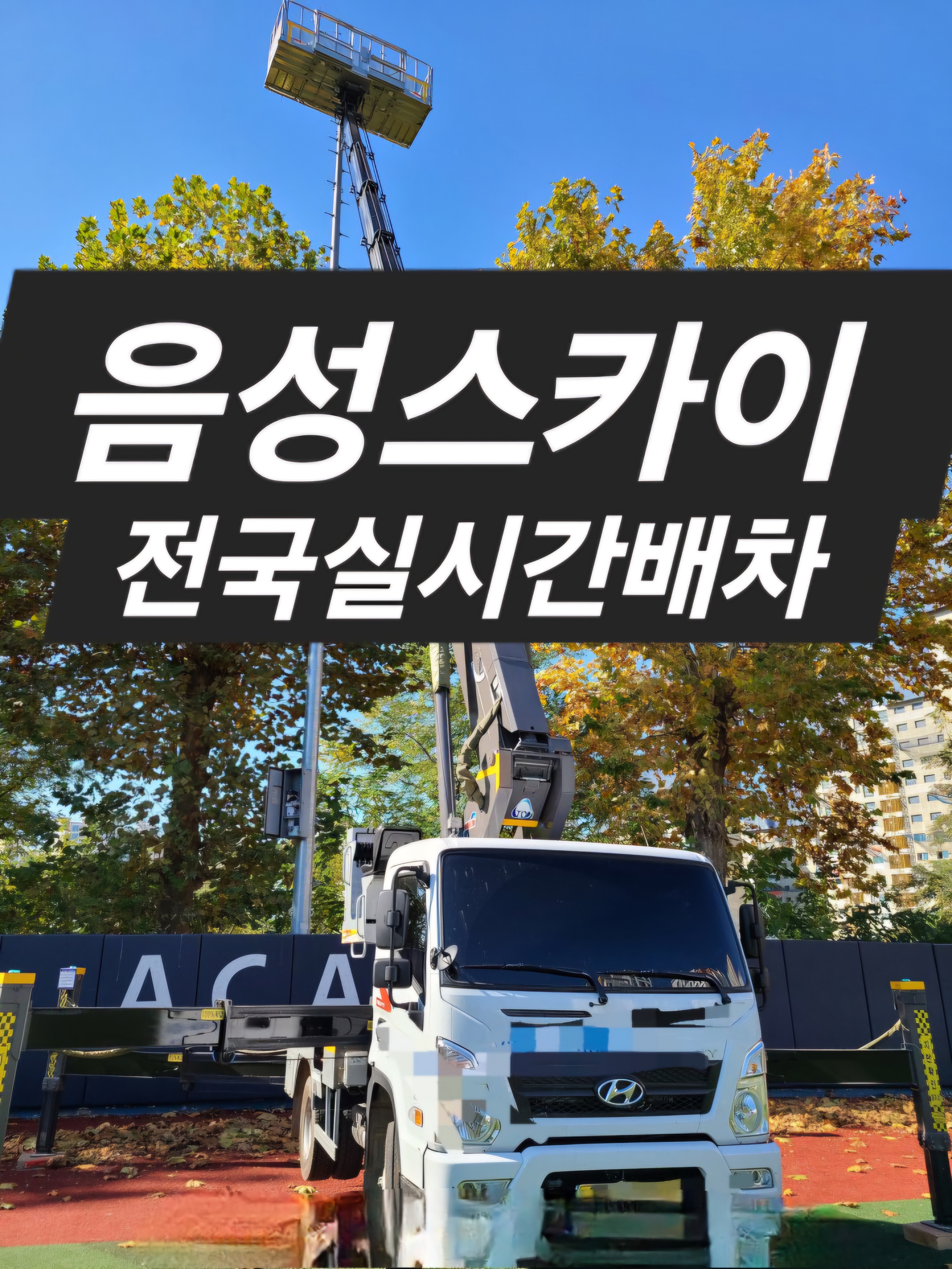 스카이
