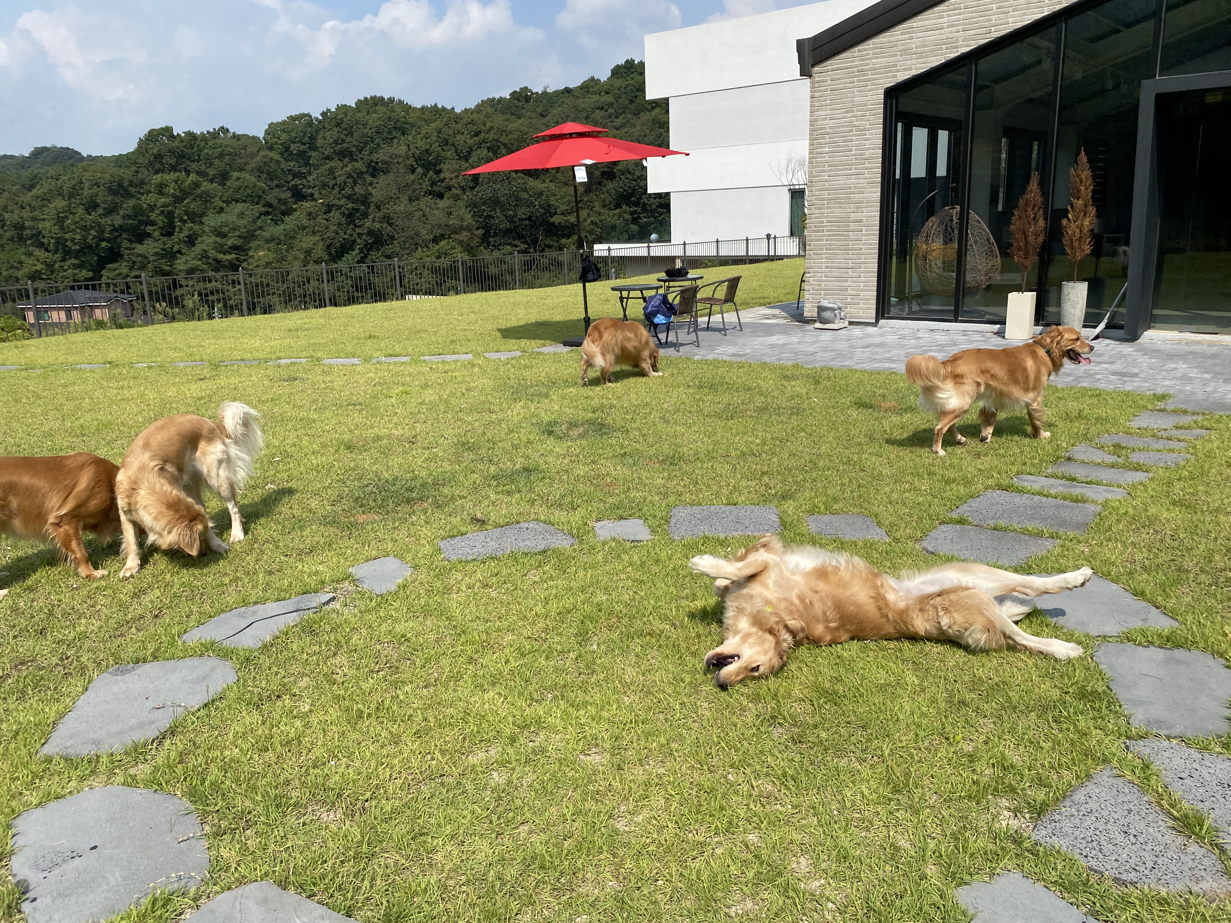리틀포레스트