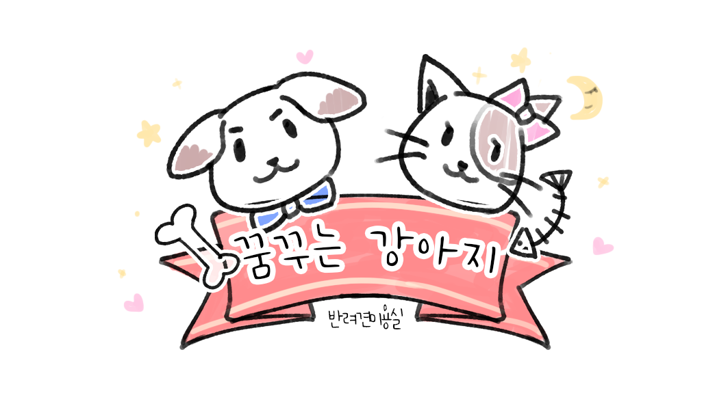 꿈꾸는강아지 내부 또는 관련 모습