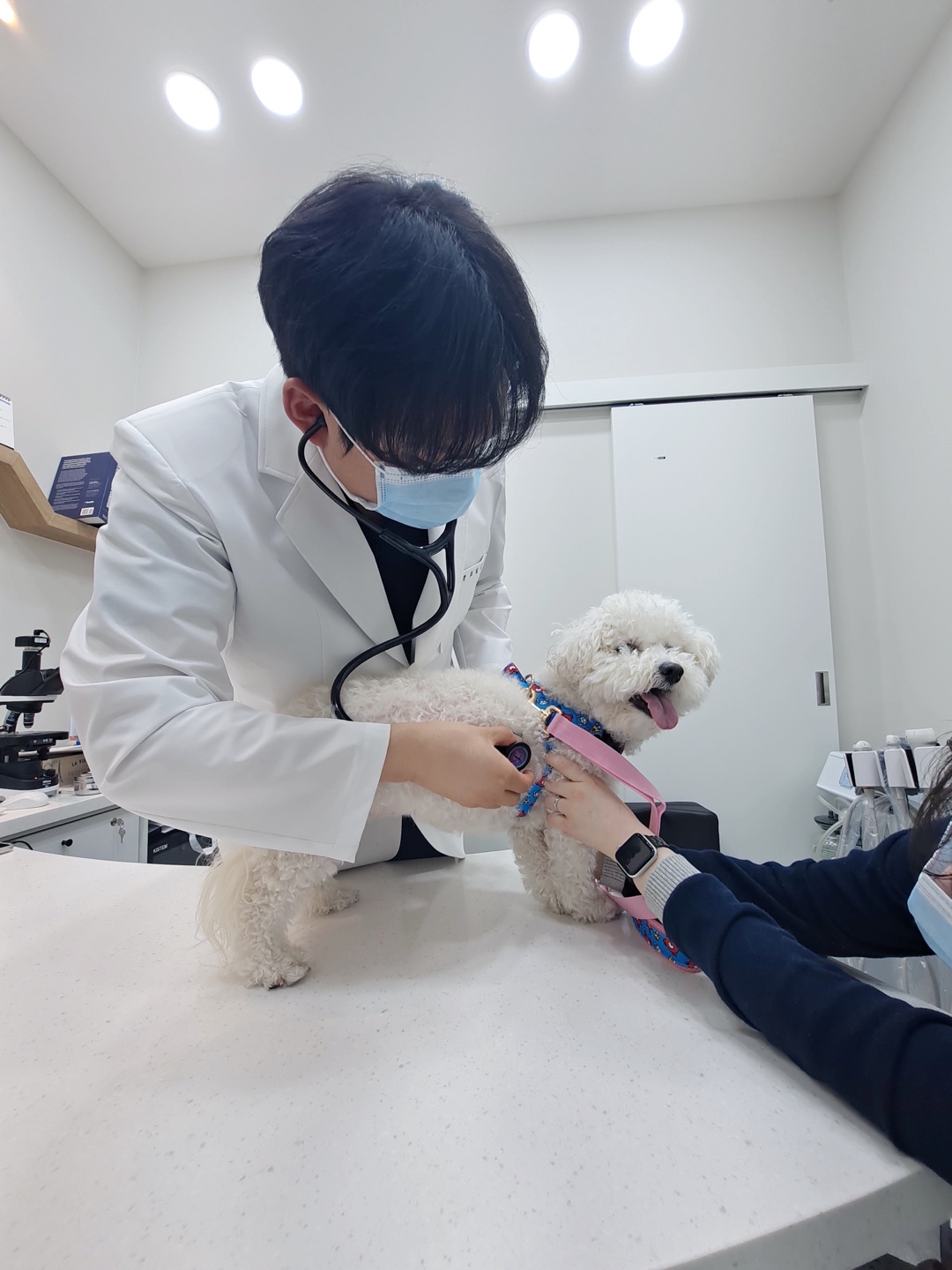 아빠동물병원 대표 이미지