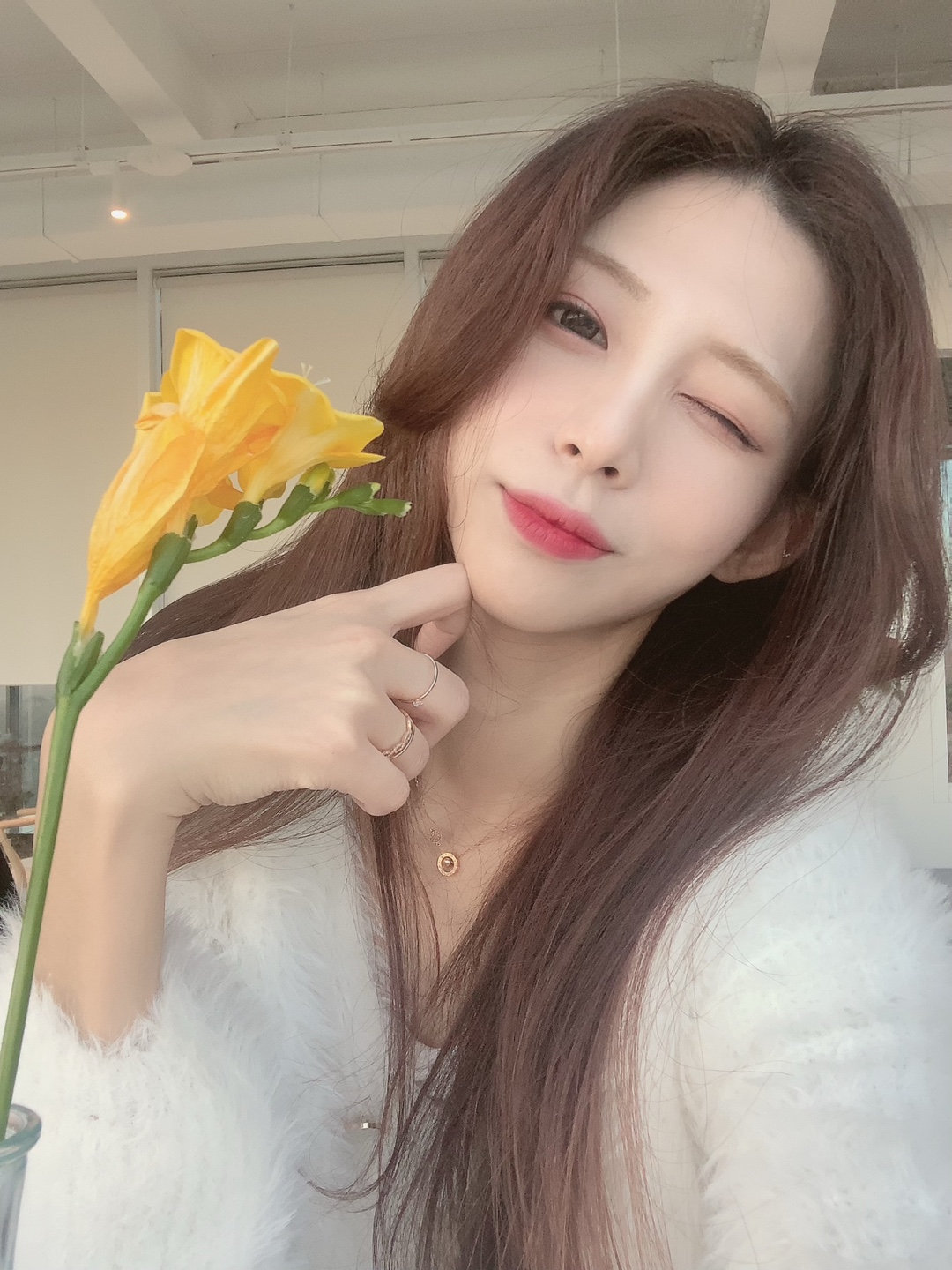 온디브헤어