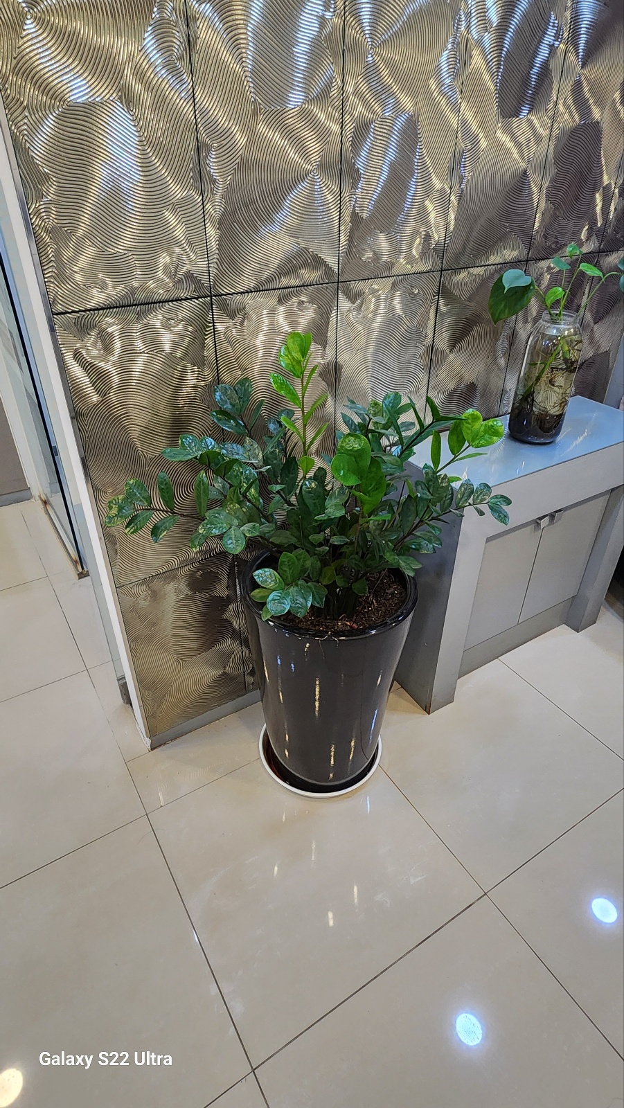 그린두피탈모센터 명동점 대표 이미지