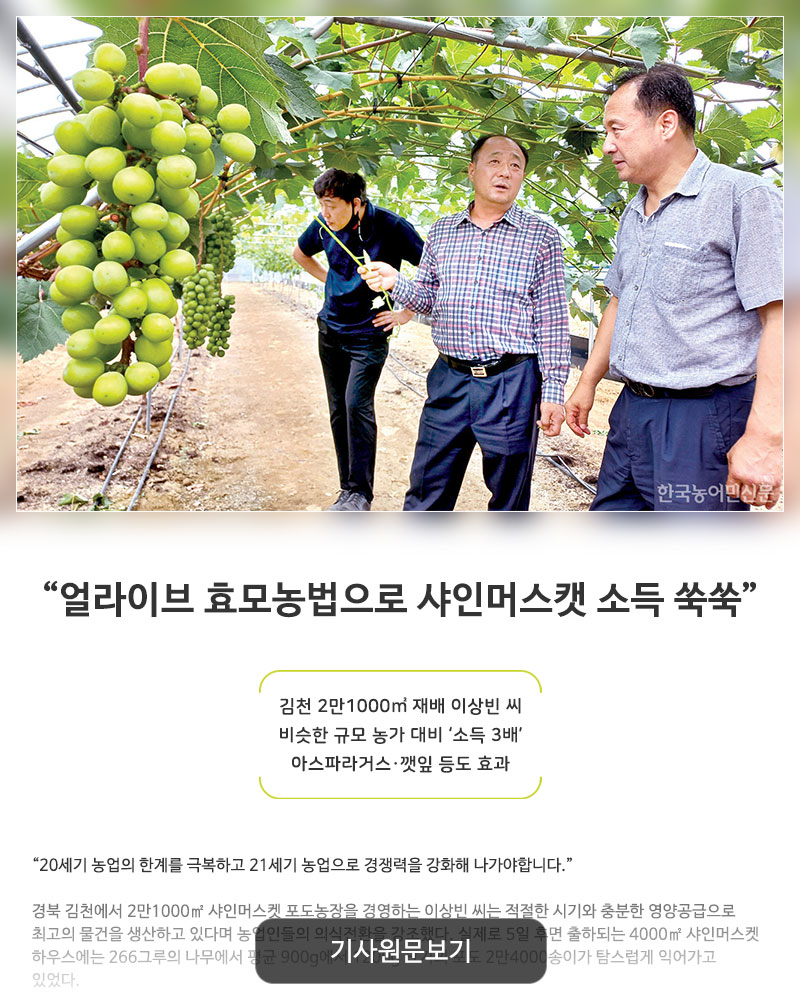 진산티앤씨