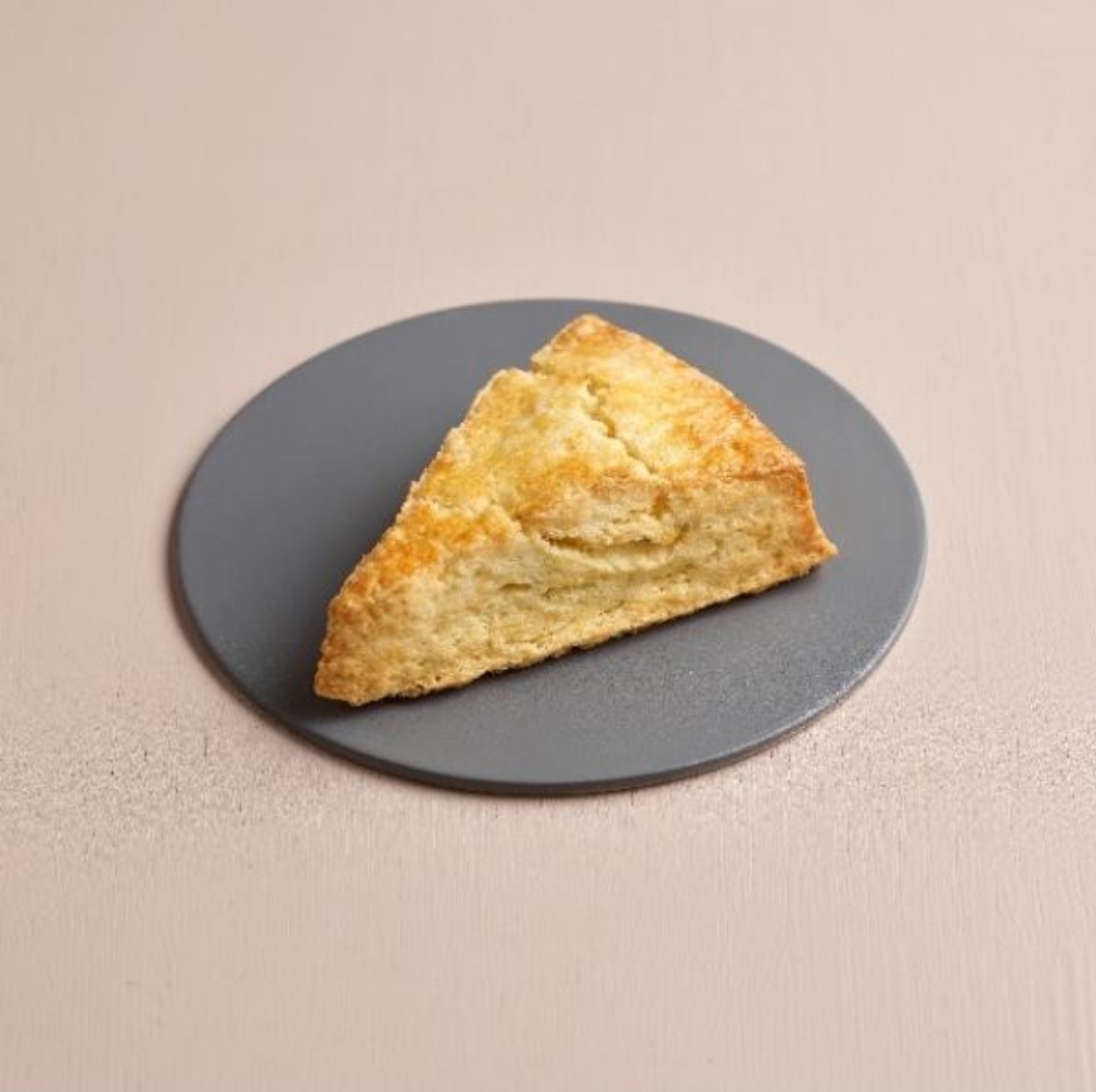 투썸플레이스 광주수완우미점 전라 애견맛집