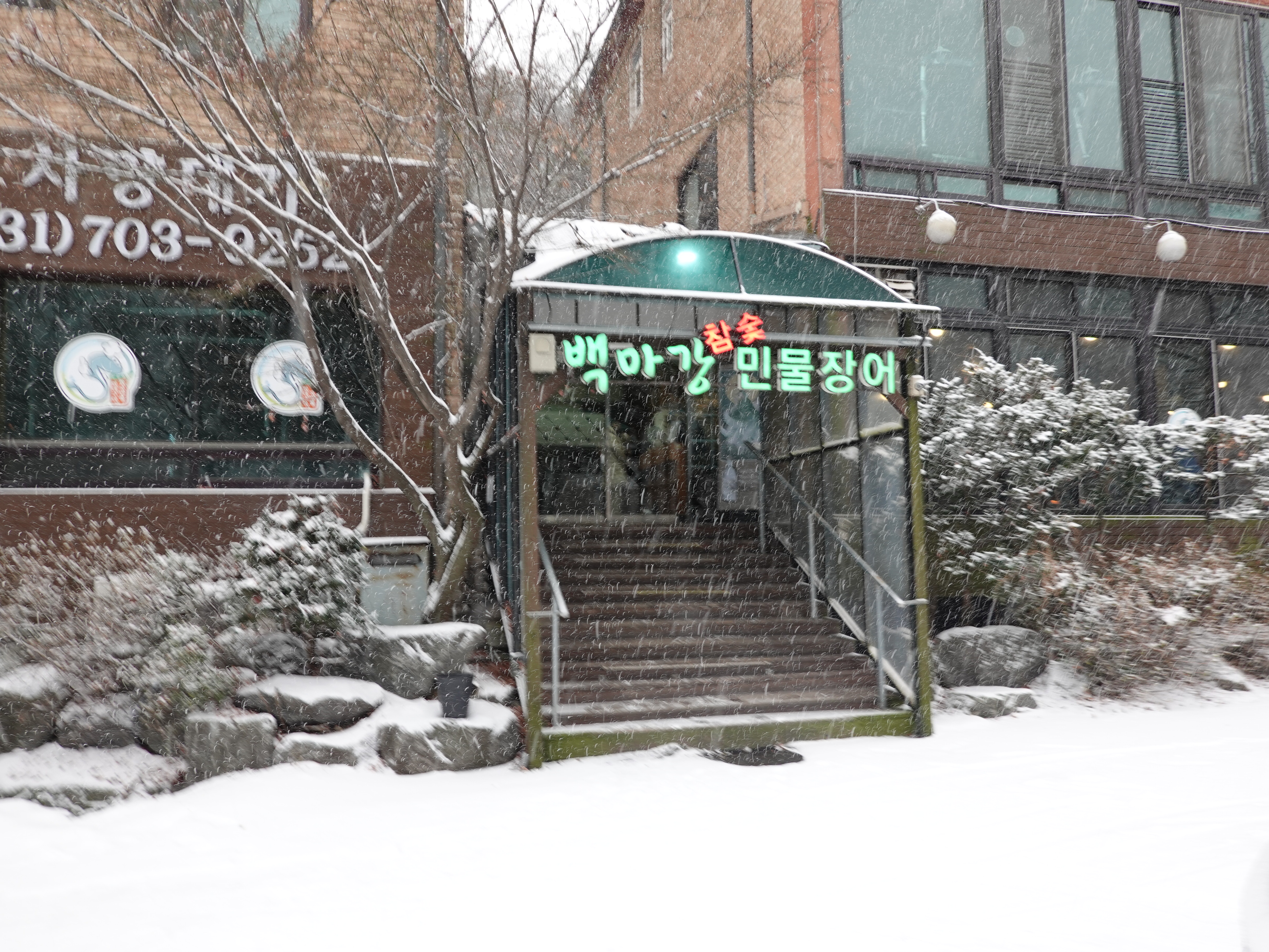 백마강참숯민물장어 판교점