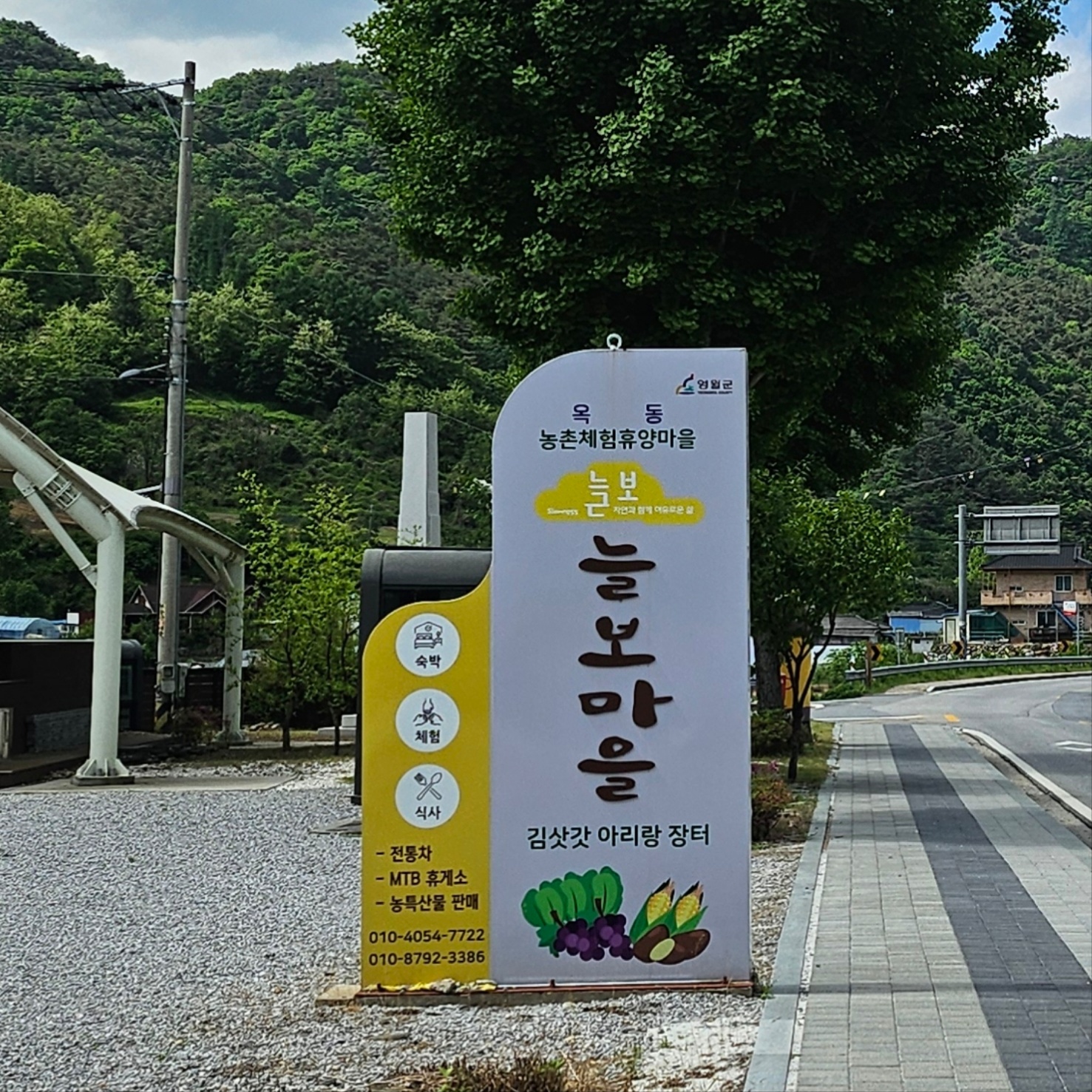 늘보카페