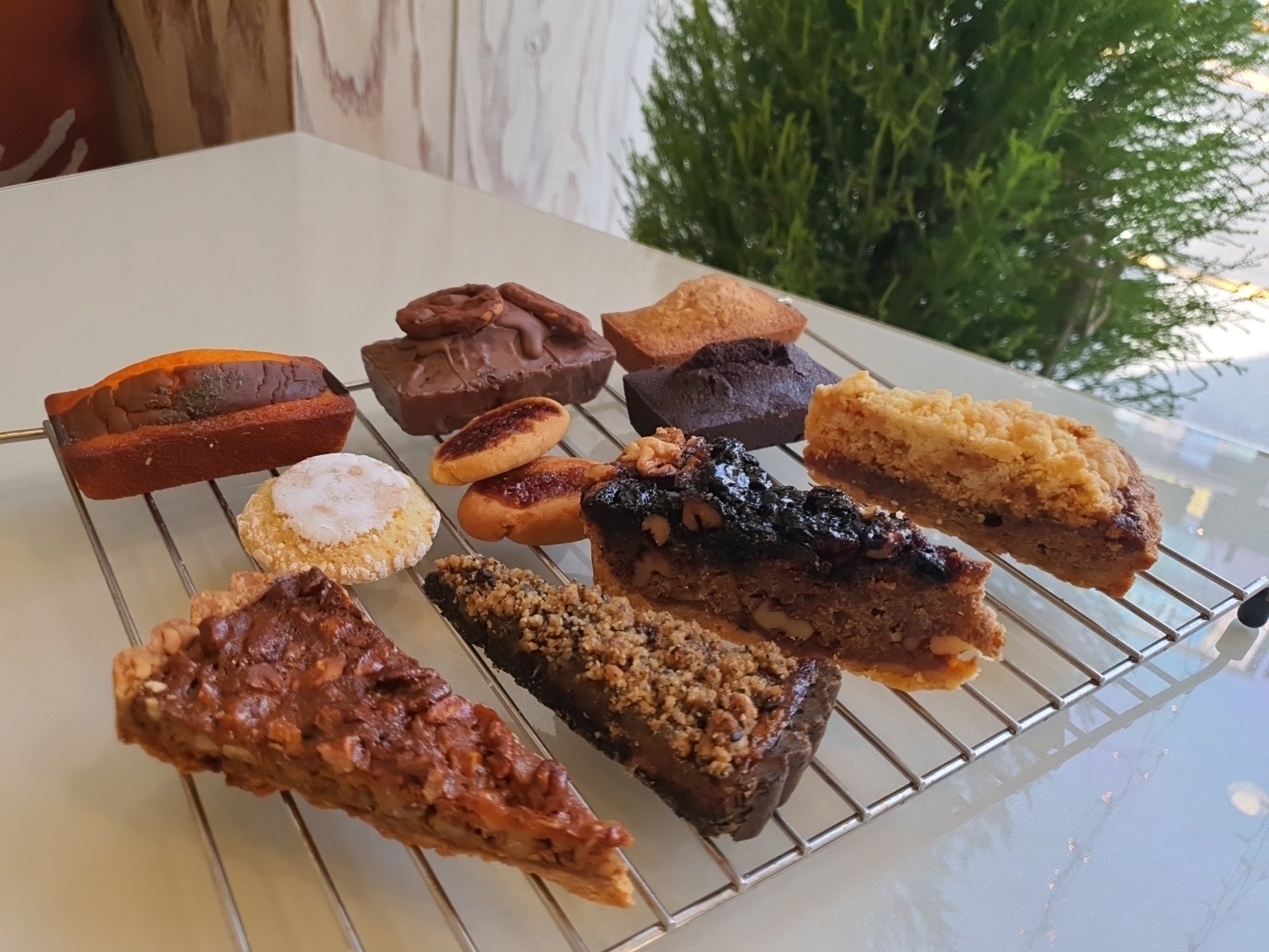 쿠마쿠마