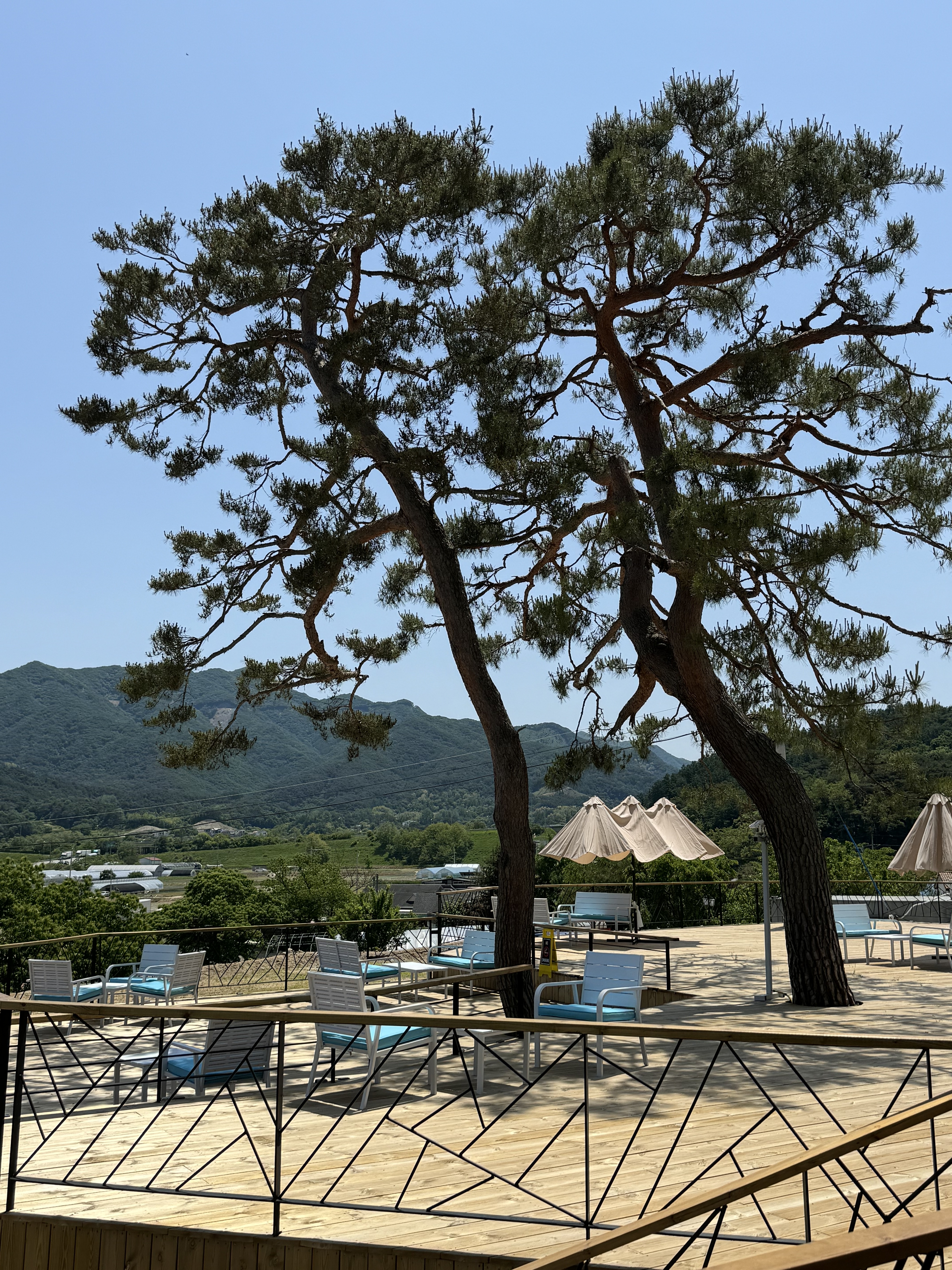 카페투파인