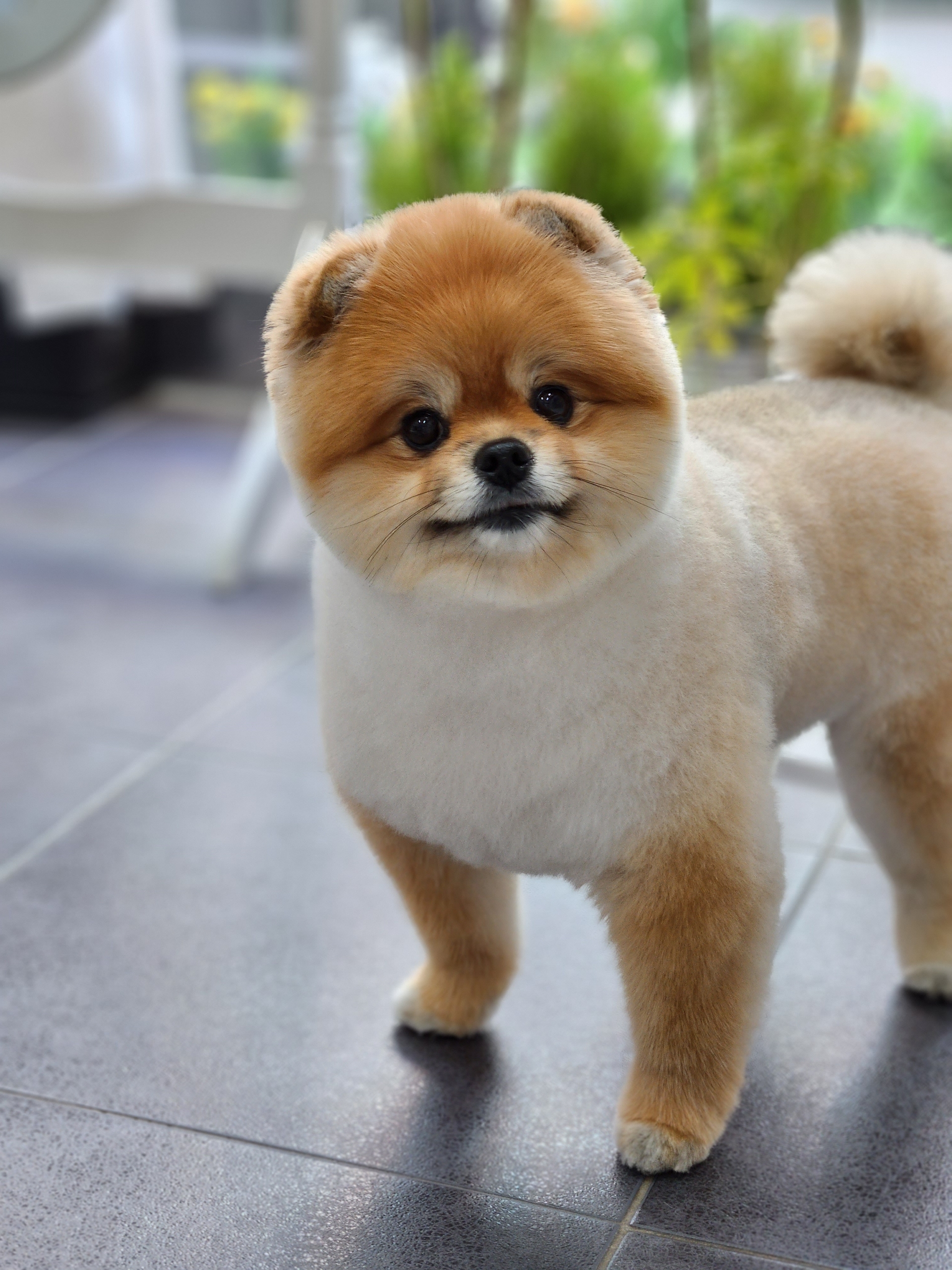 우리동네펫샵 대표 이미지