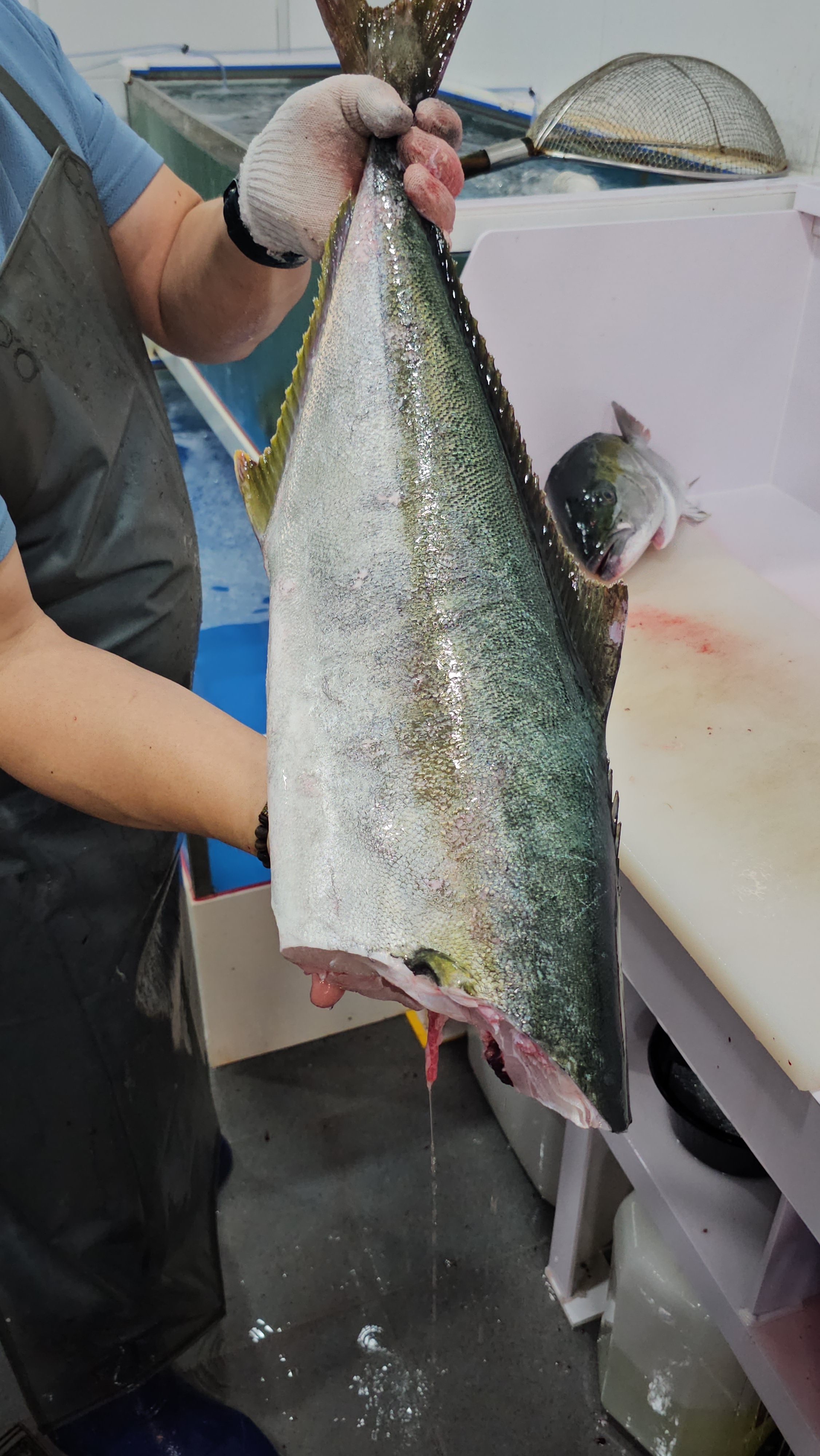 바다킹HUB 매산점