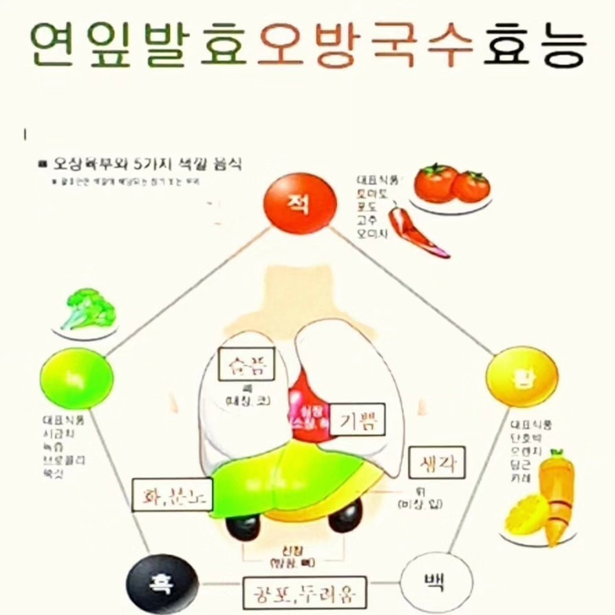 고창백련영농조합 대표 이미지