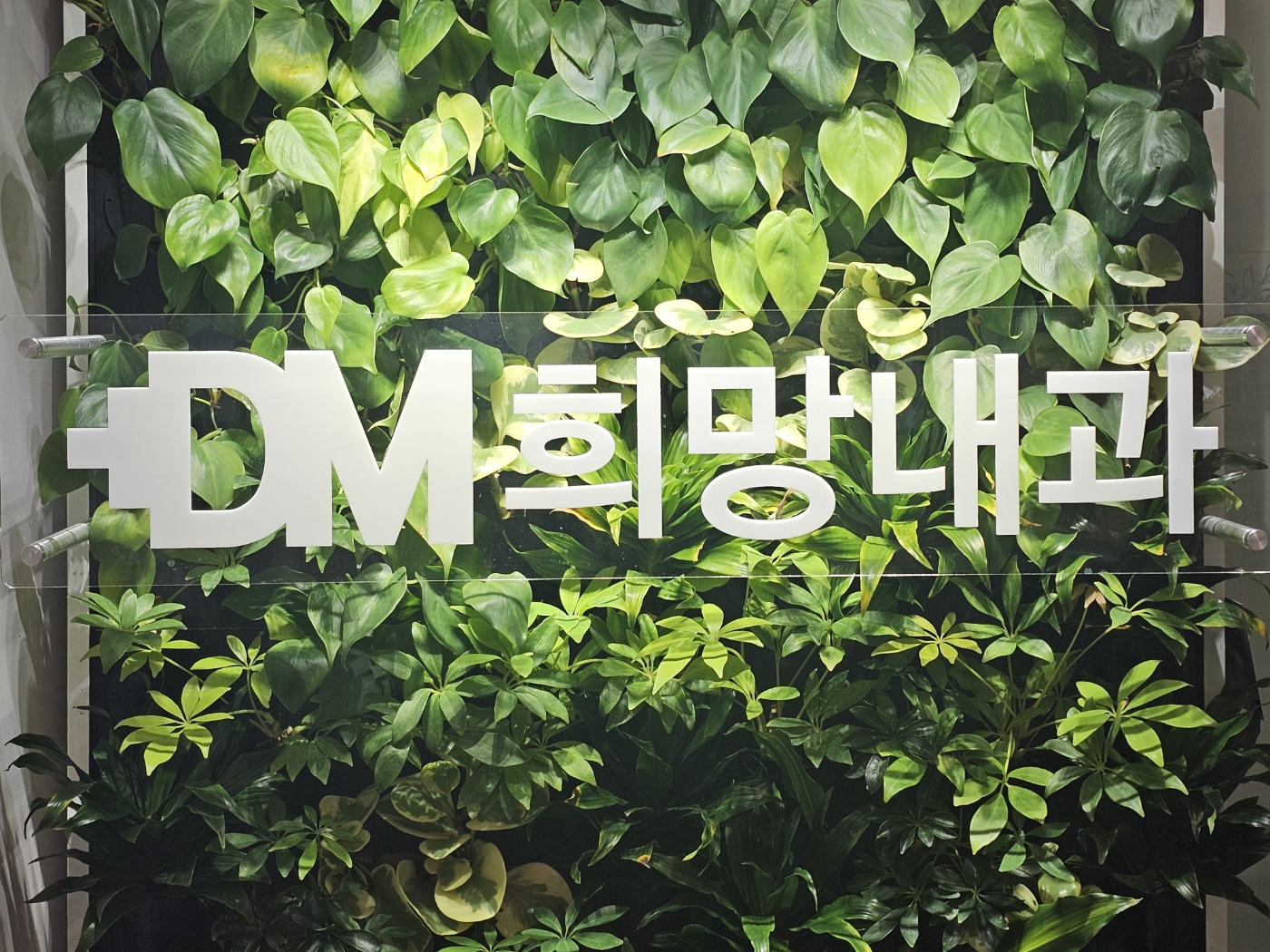 희망내과의원