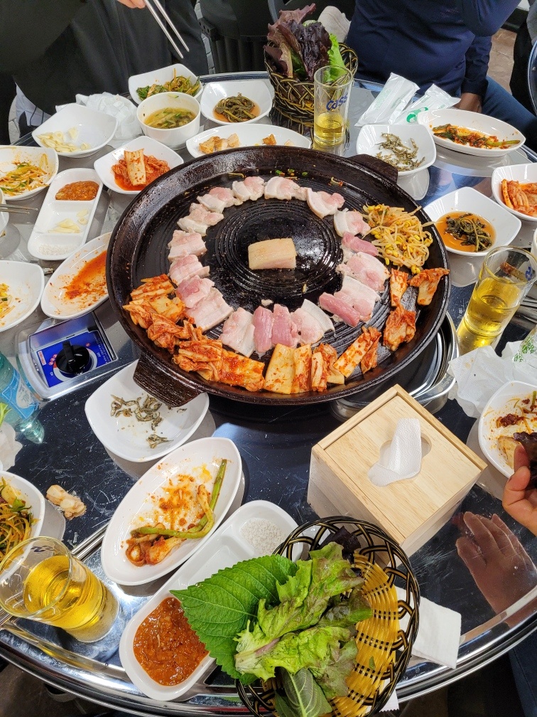 인생고기