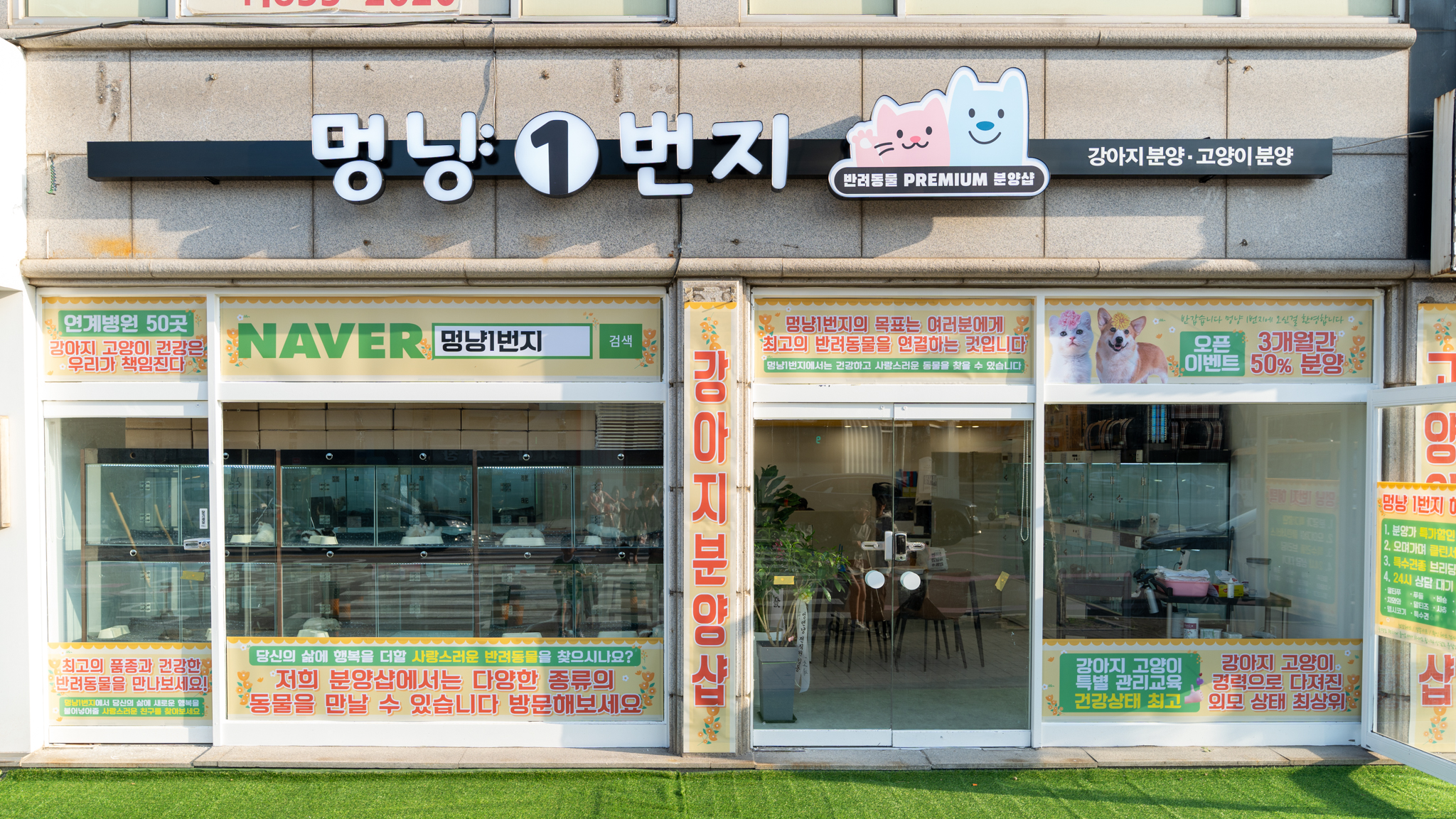 멍냥일번지 강아지분양고양이분양 의정부본점