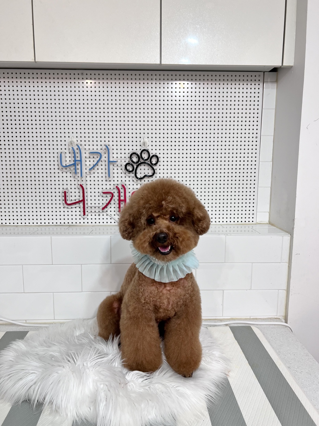 멍멍쓰