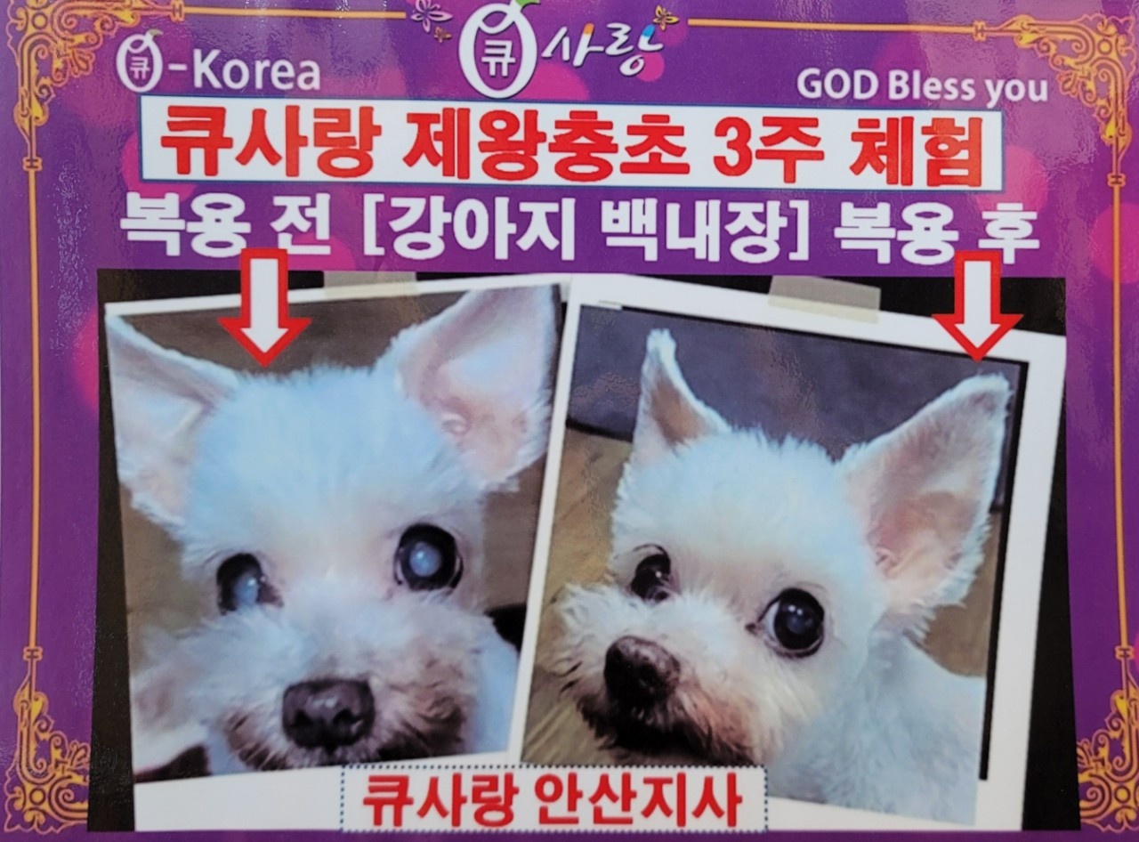 큐사랑 포항지사