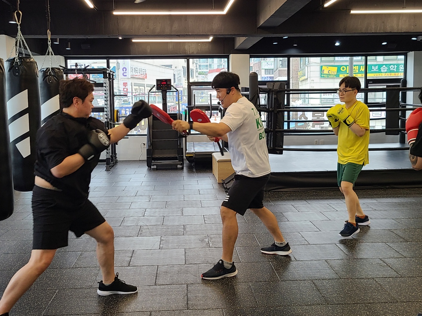 한국체대복싱