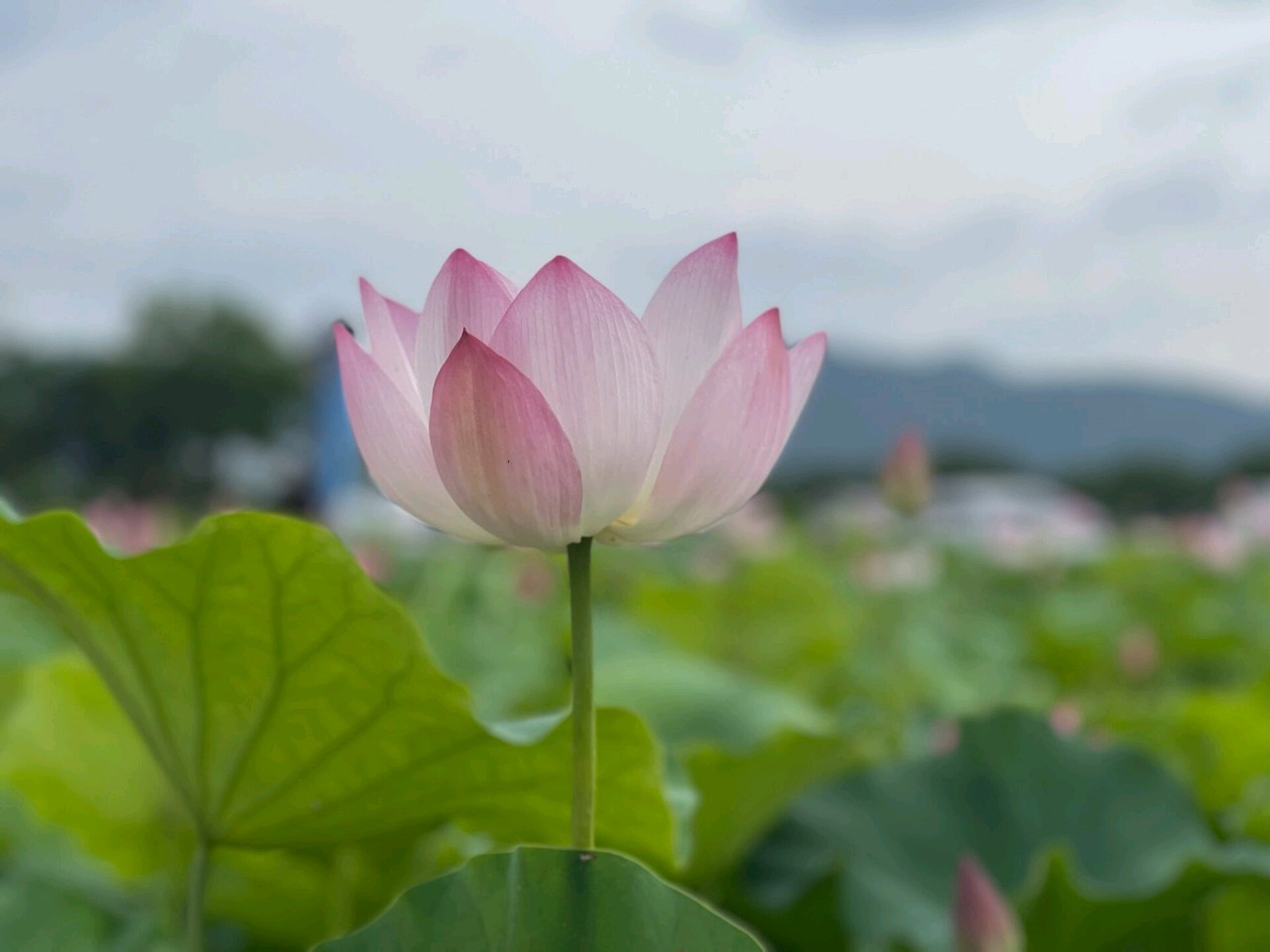 오월요가커뮤니티 대표 이미지