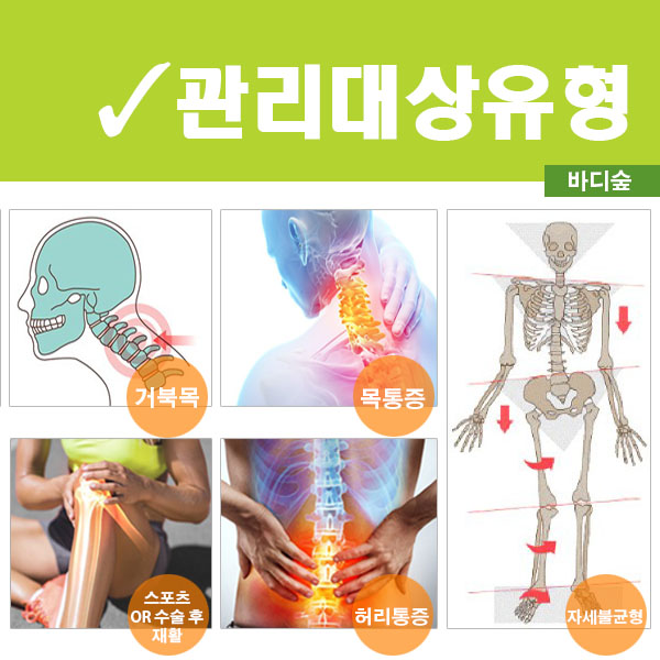 바디숲 대표 이미지