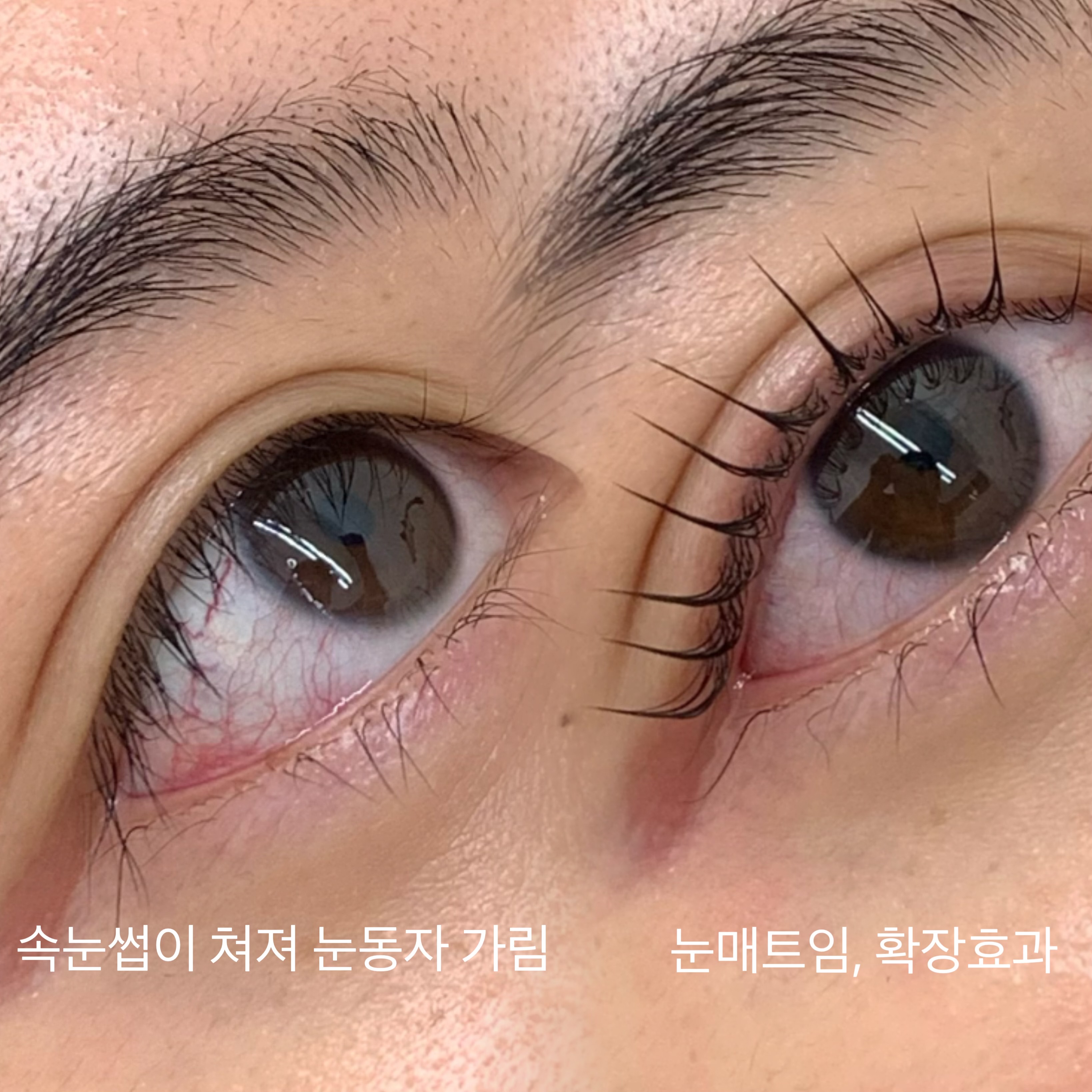 스며듦