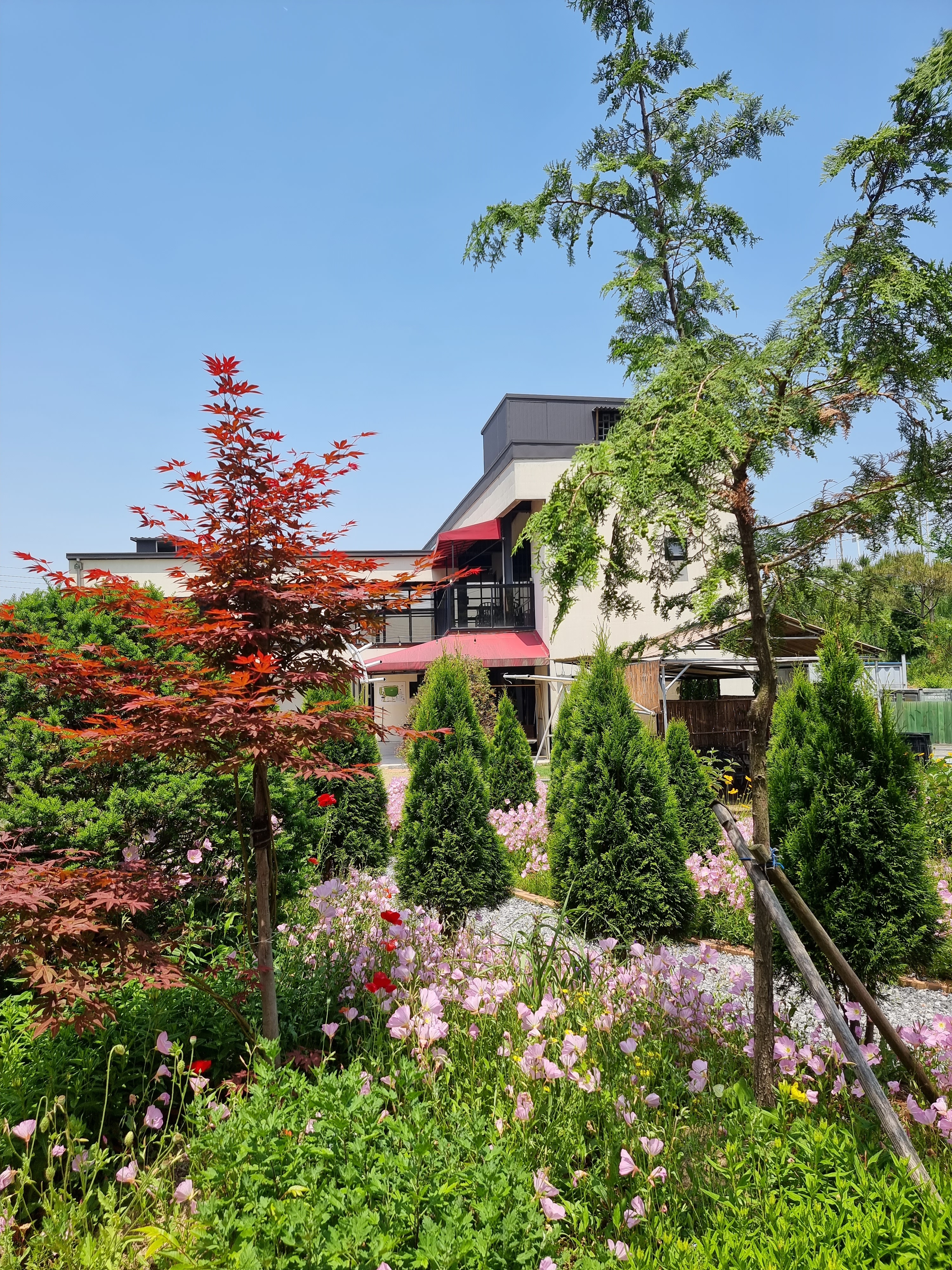 차스타임 대표 이미지