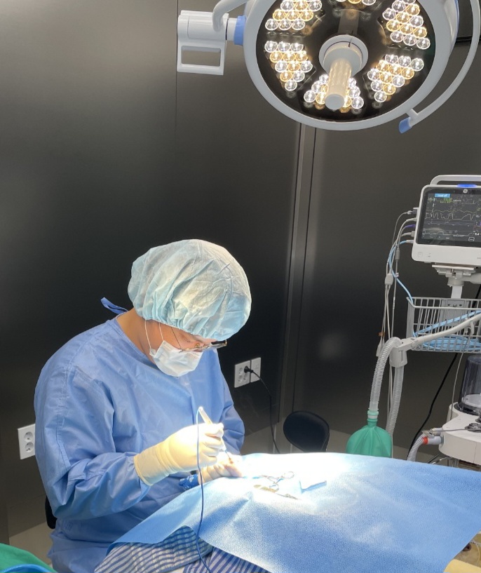 로로동물의료센터