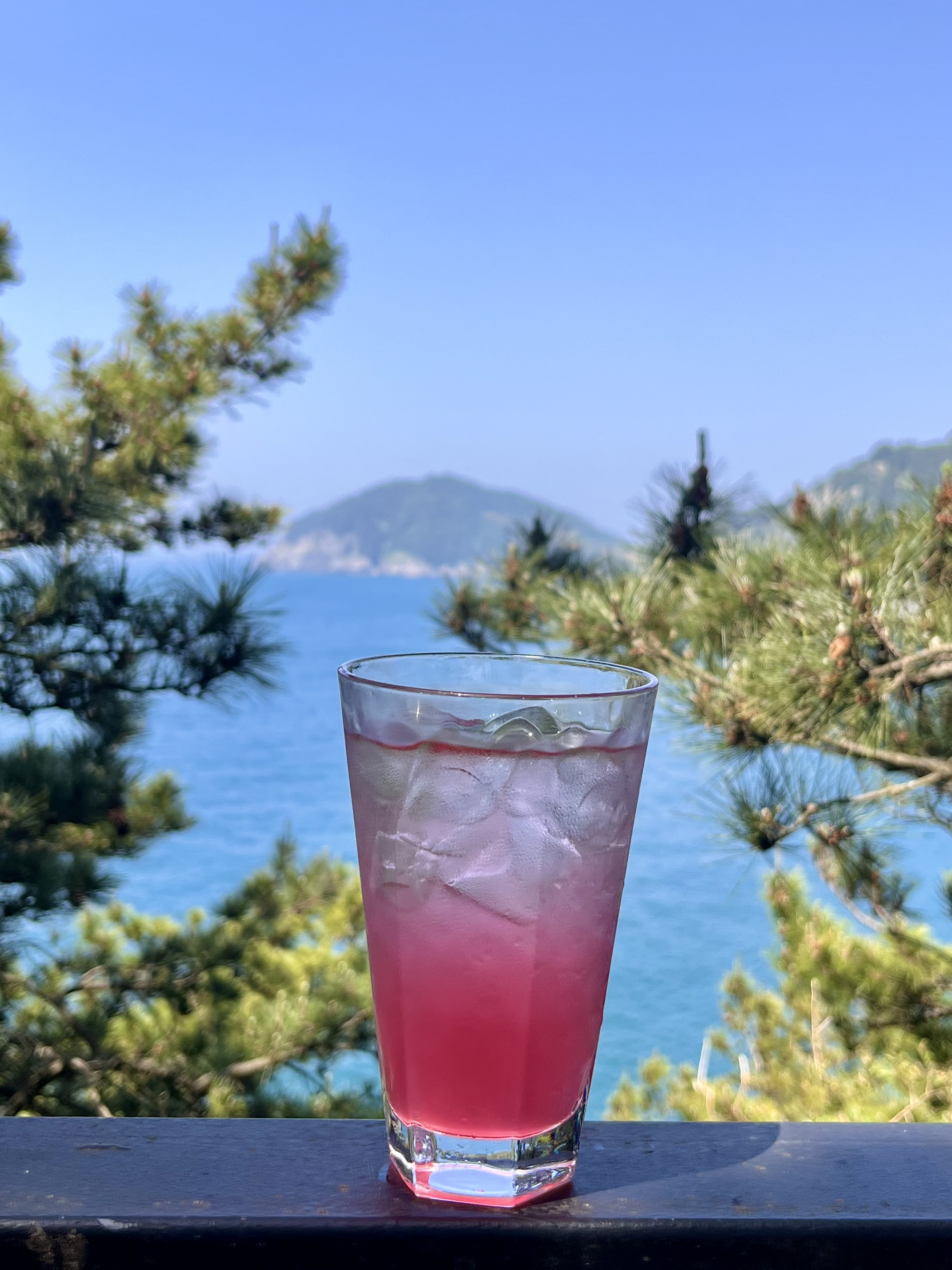 카페고래강정 반려동물 동반 애견카페