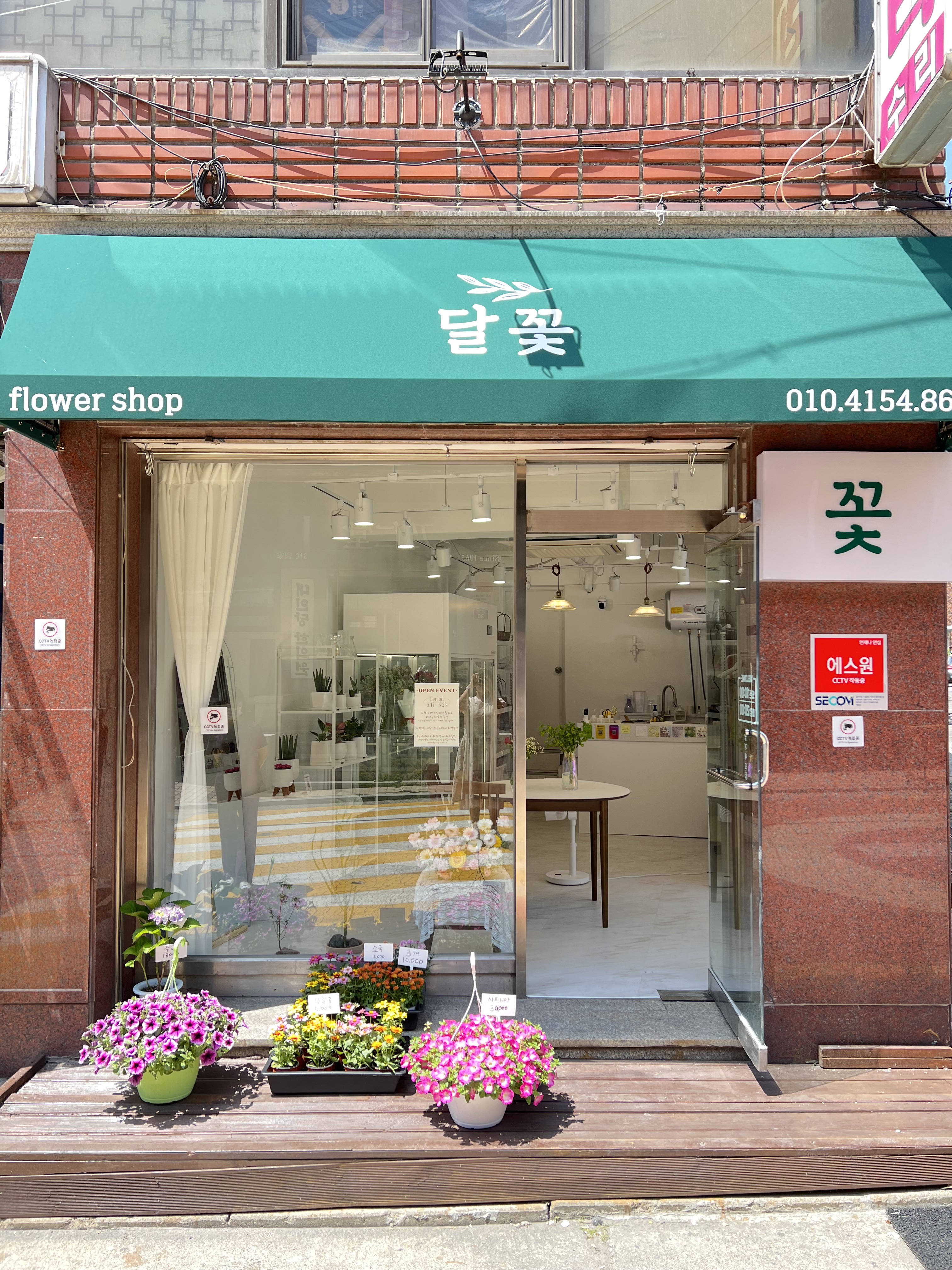 달꽃