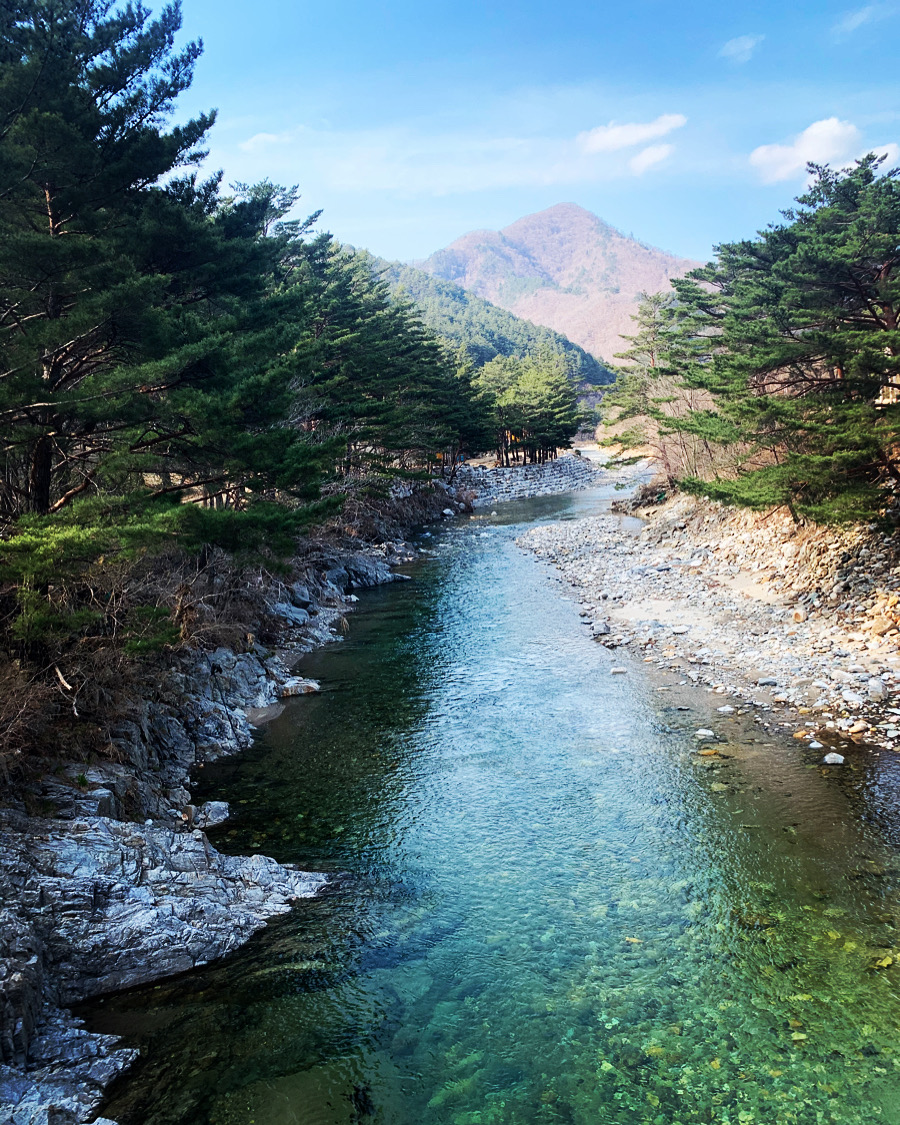 샘골솔밭야영장