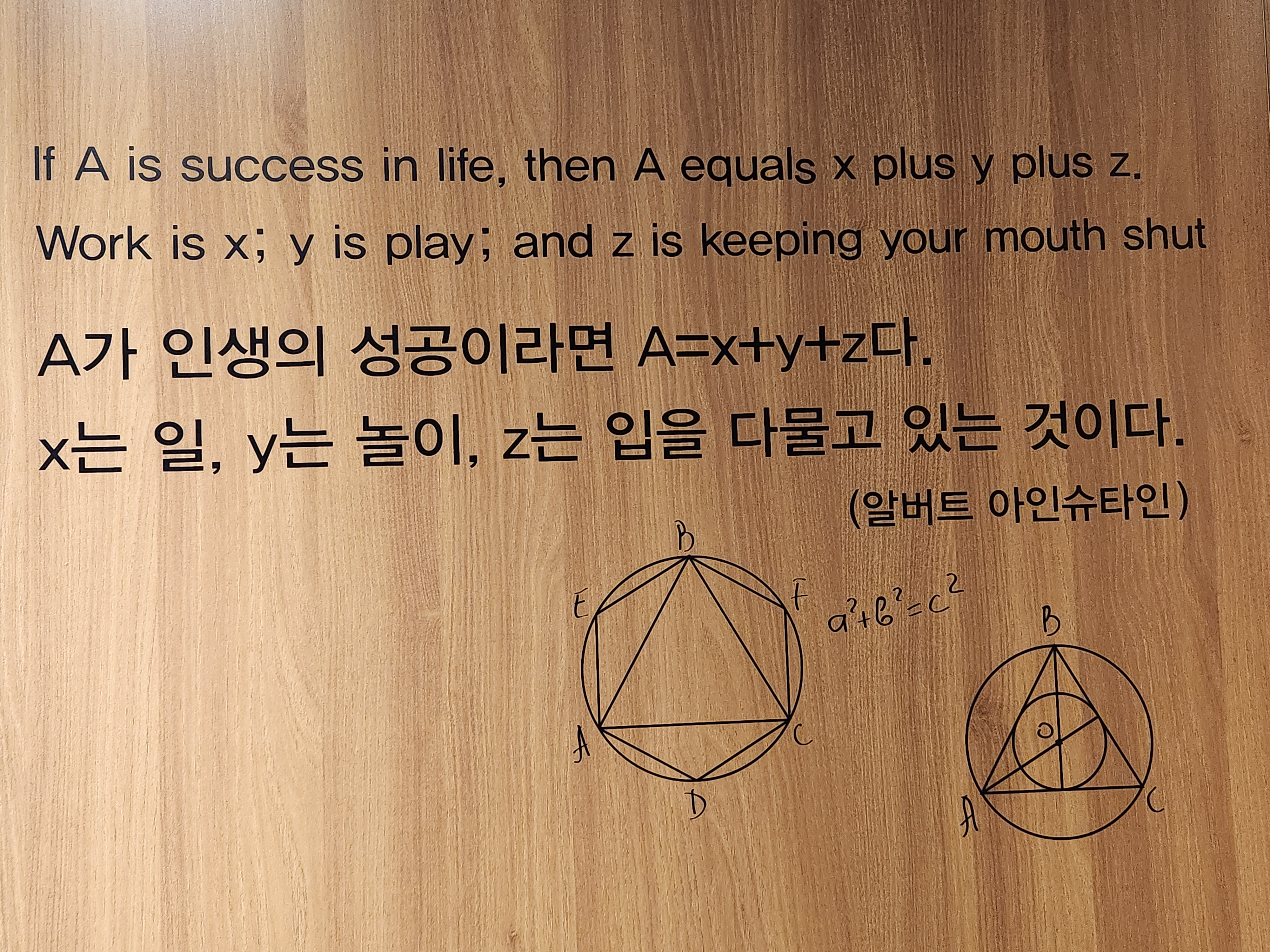 업체사진