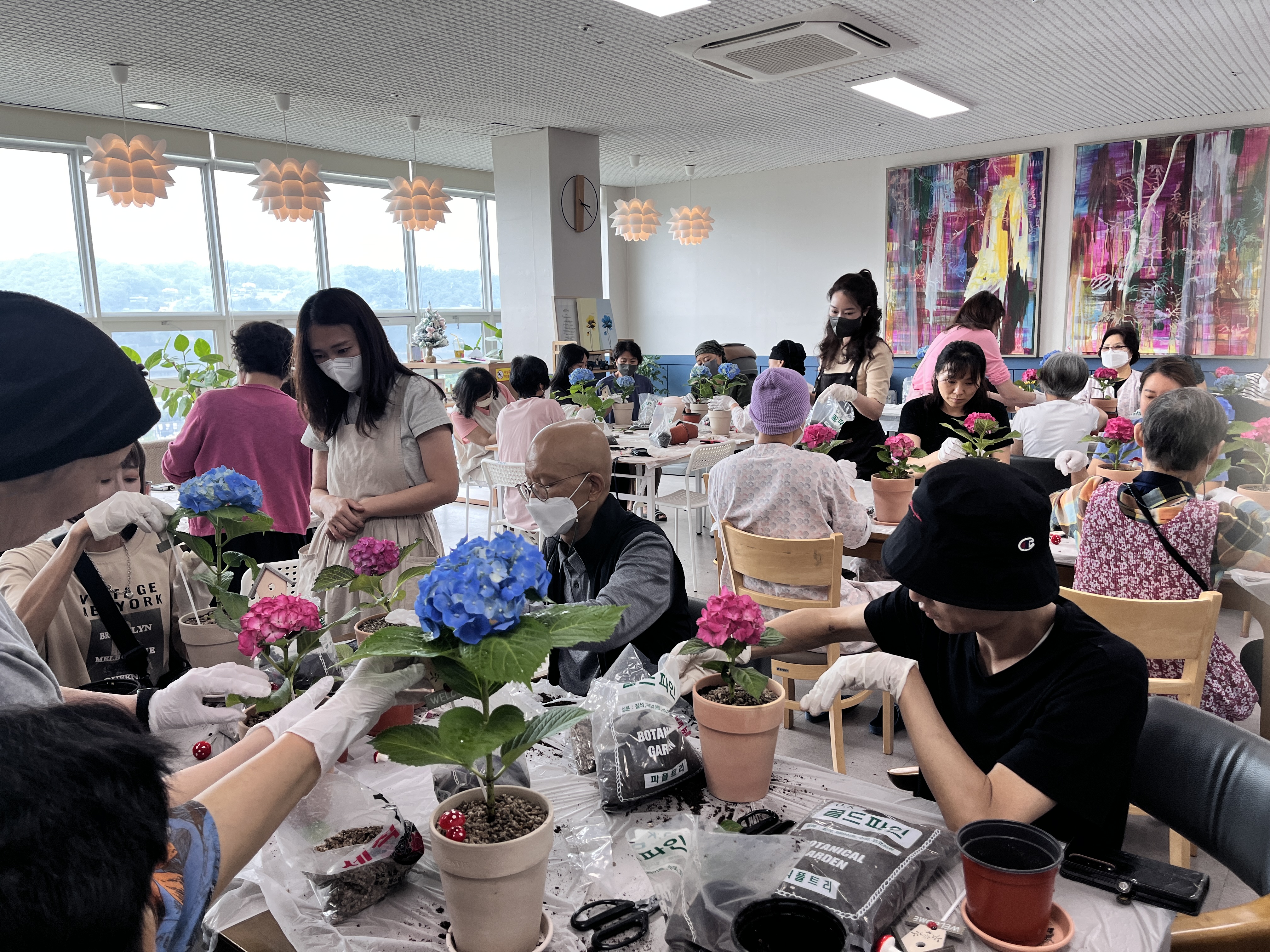 플로라리아 drawn garden