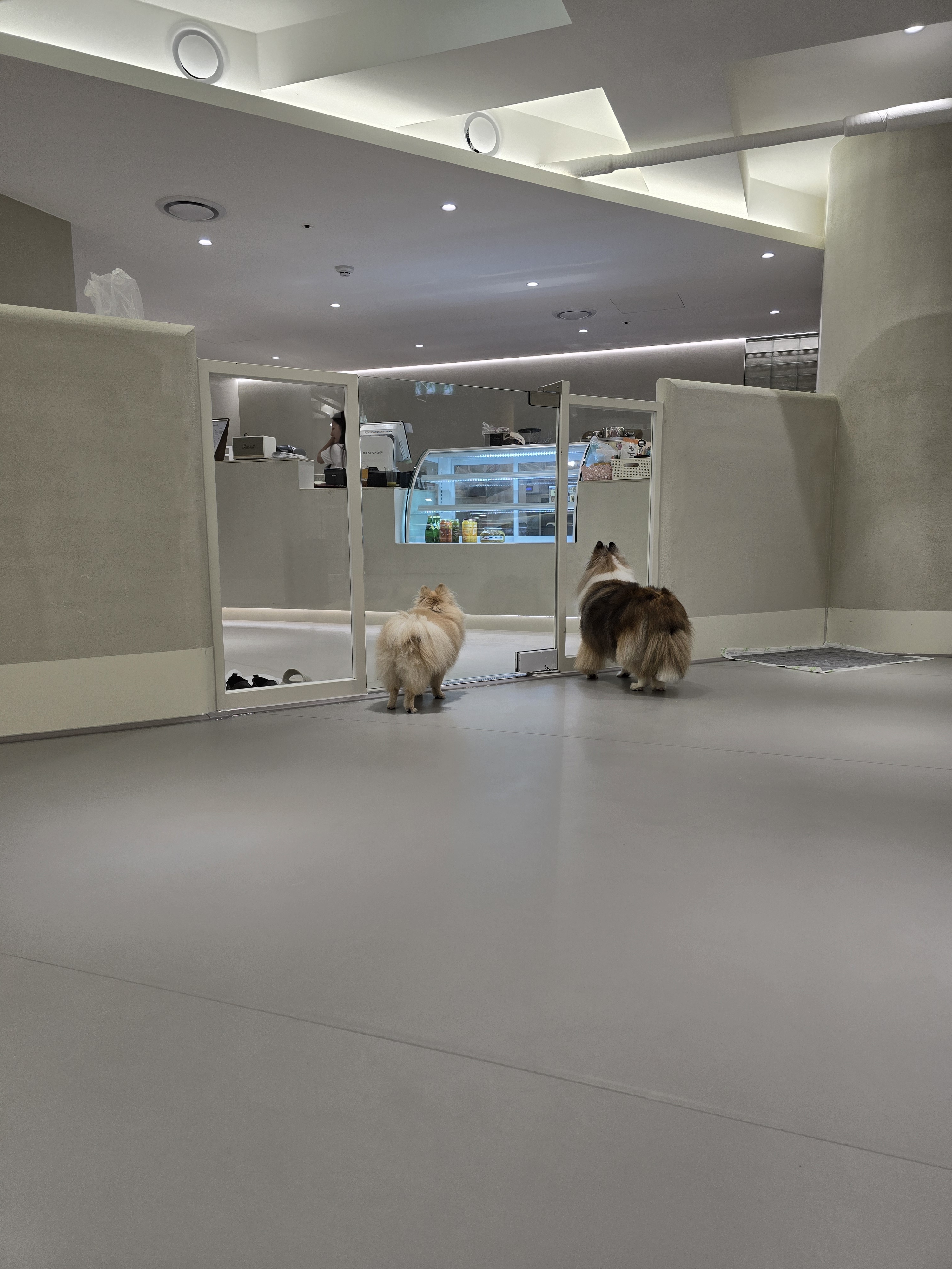 피터펫 강남논현점 3