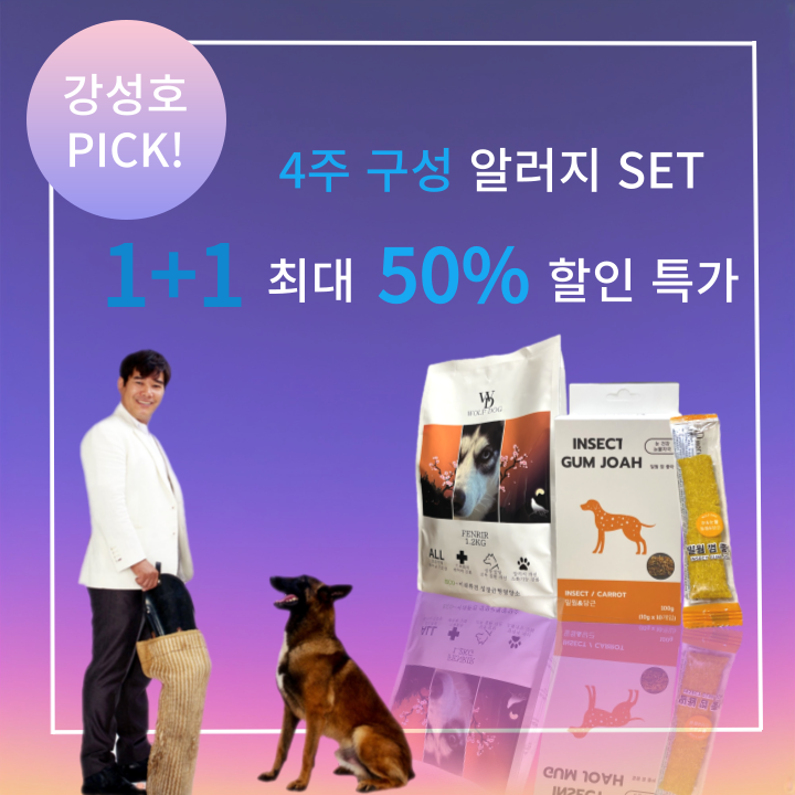 더블디컴퍼니