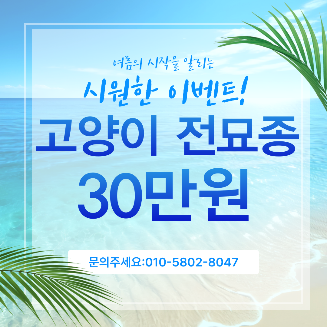 강아지분양 애견분양 멍앤냥 하남점