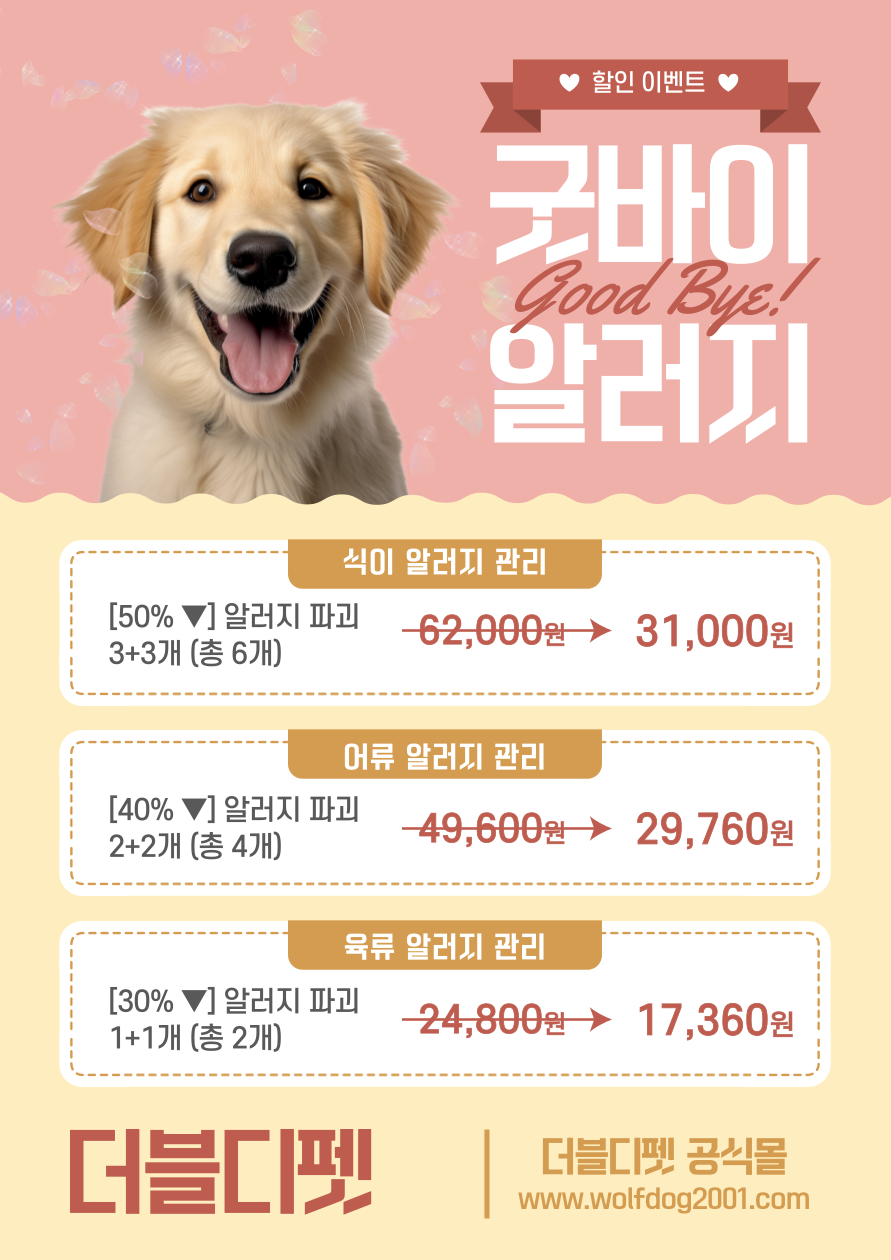 더블디컴퍼니 대표 이미지