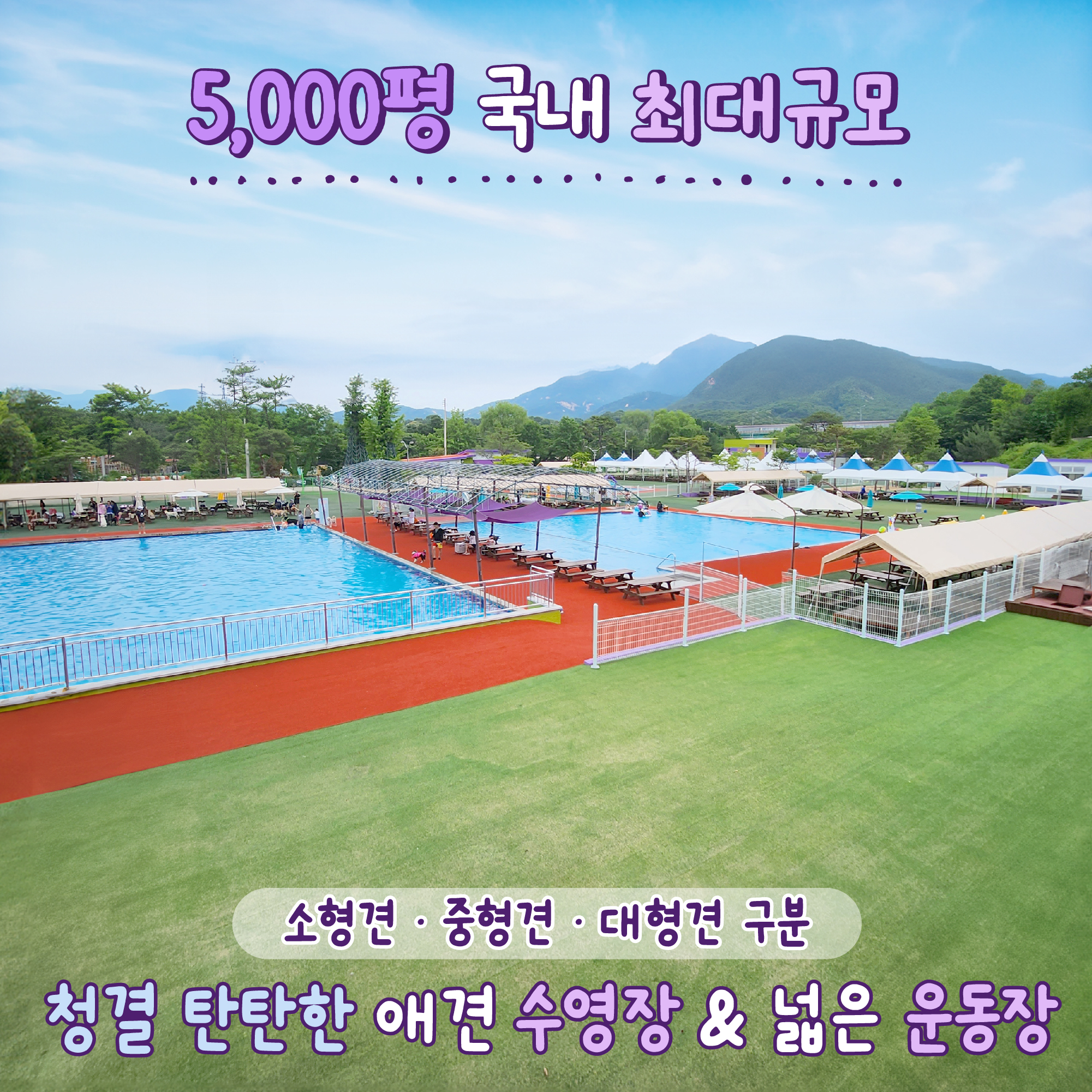 도그스포지움 대표 이미지