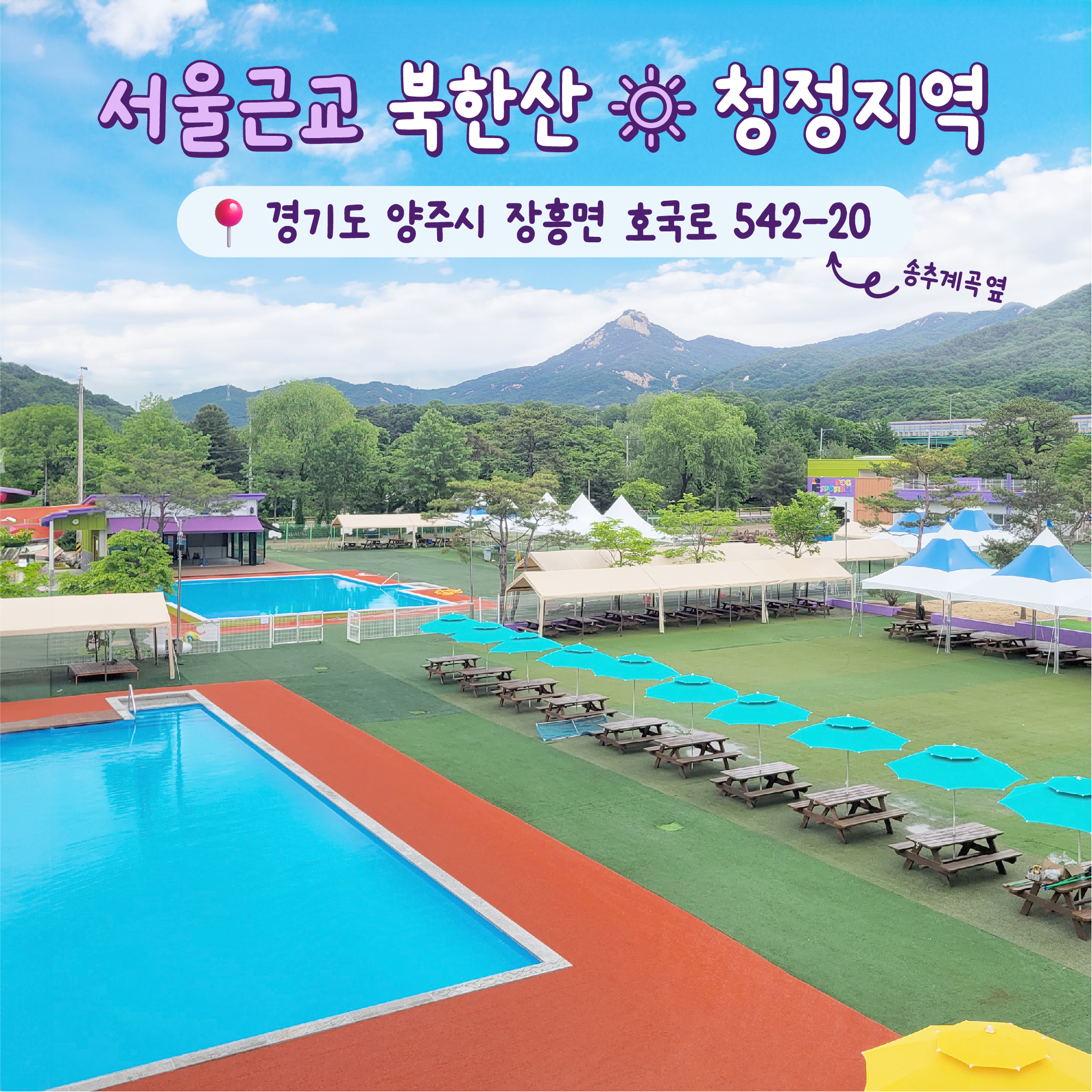 도그스포지움 대표 이미지