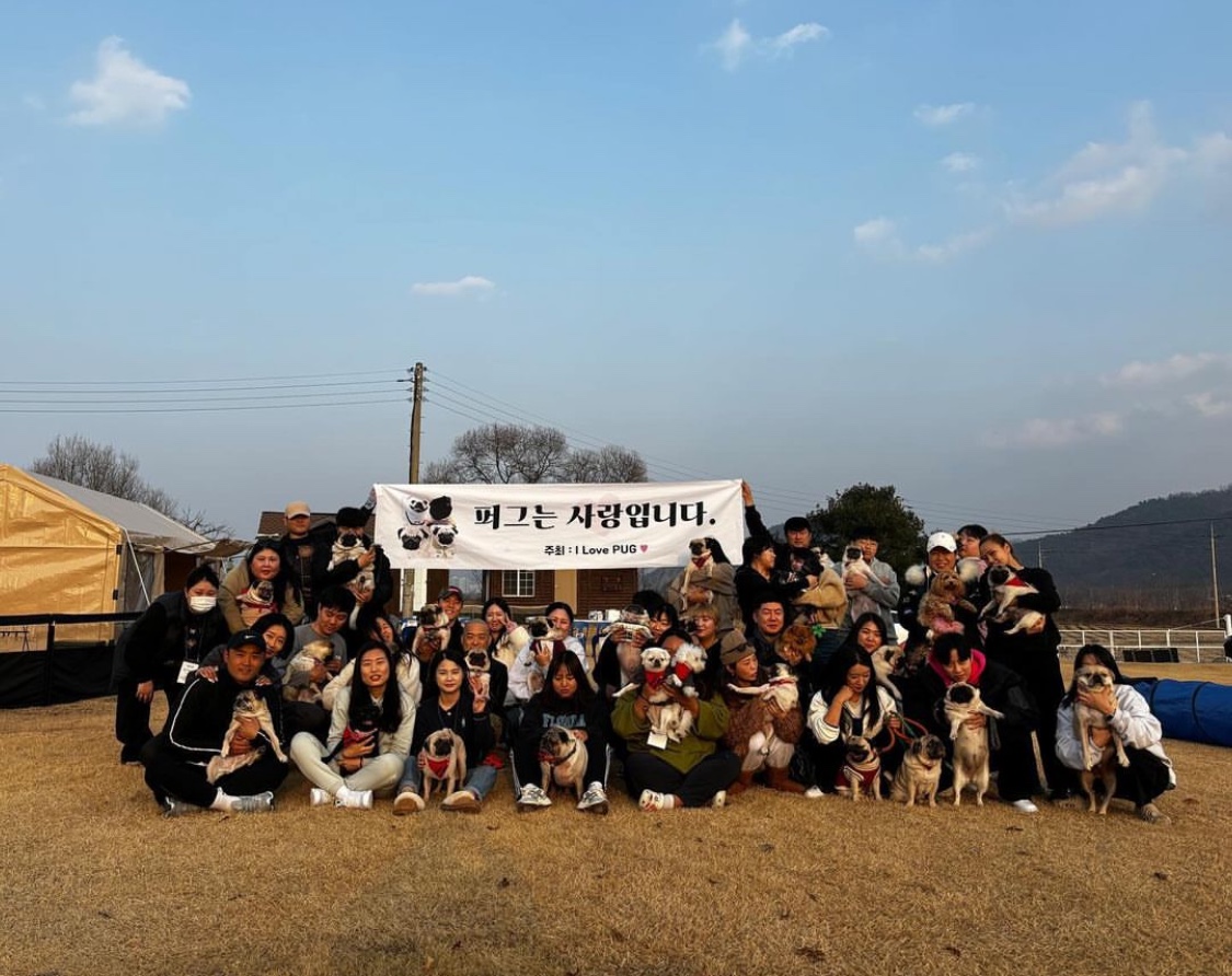 더블디컴퍼니