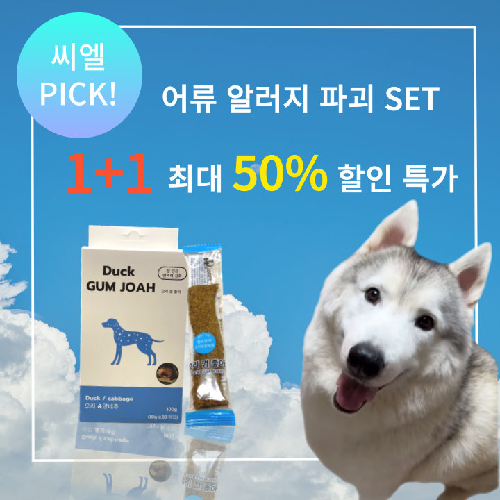 더블디컴퍼니