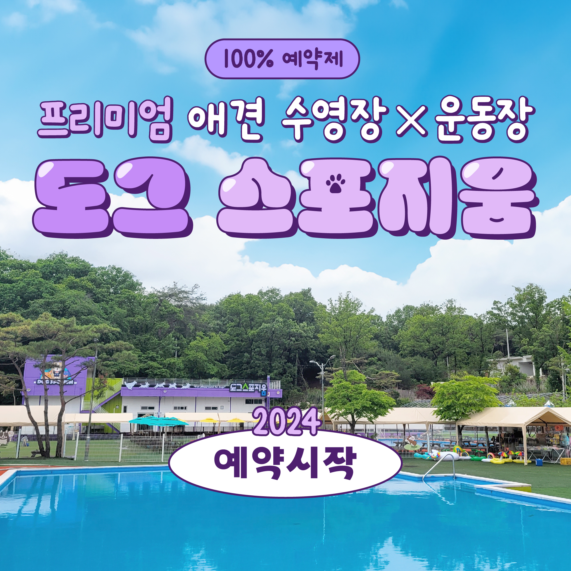 도그스포지움
