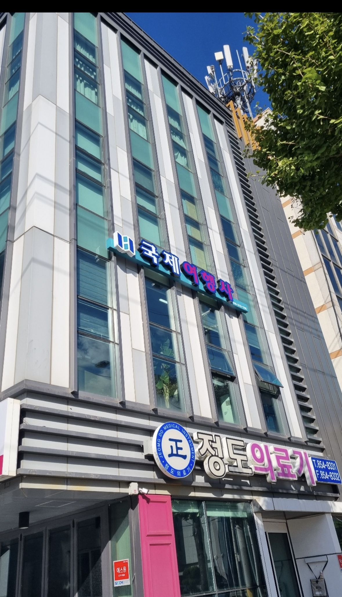 청송국제여행사
