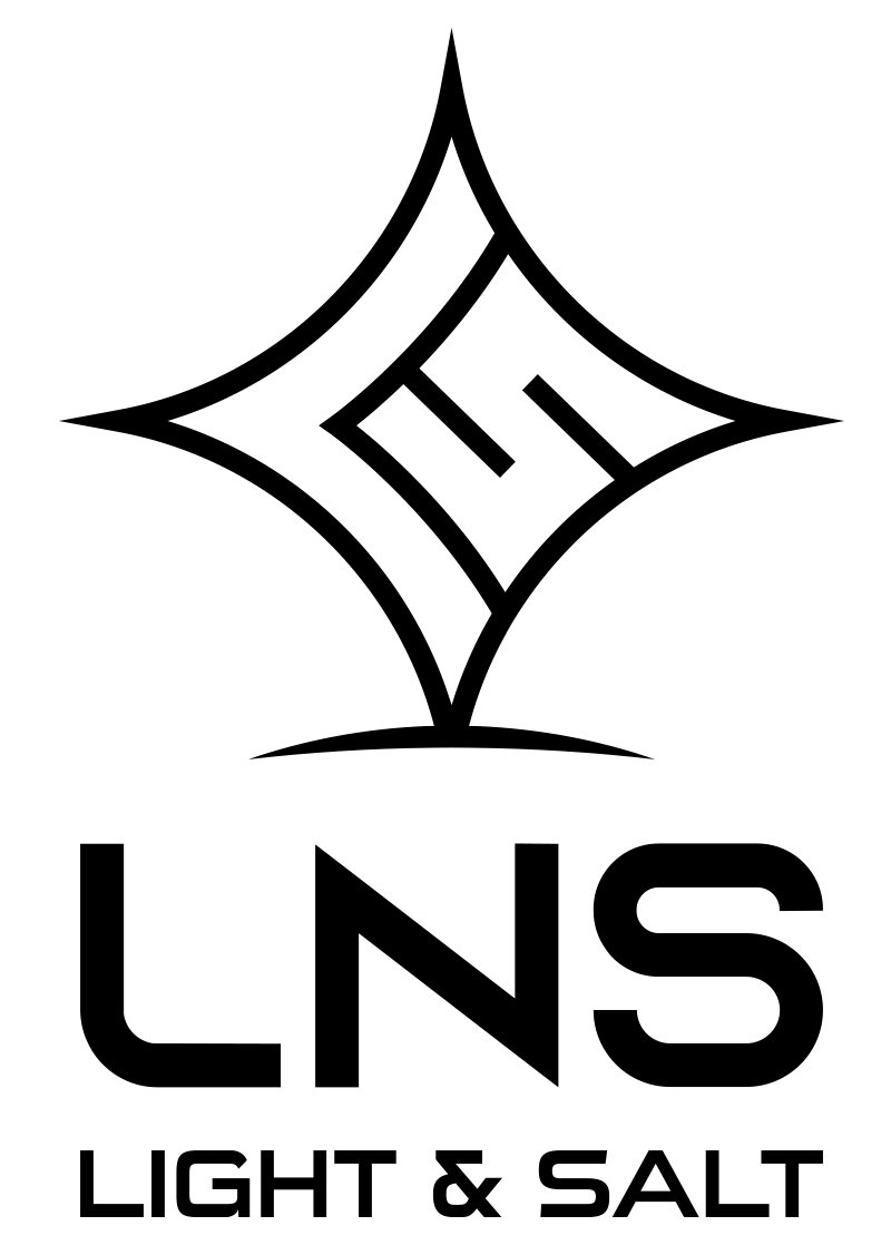 엘앤에스
