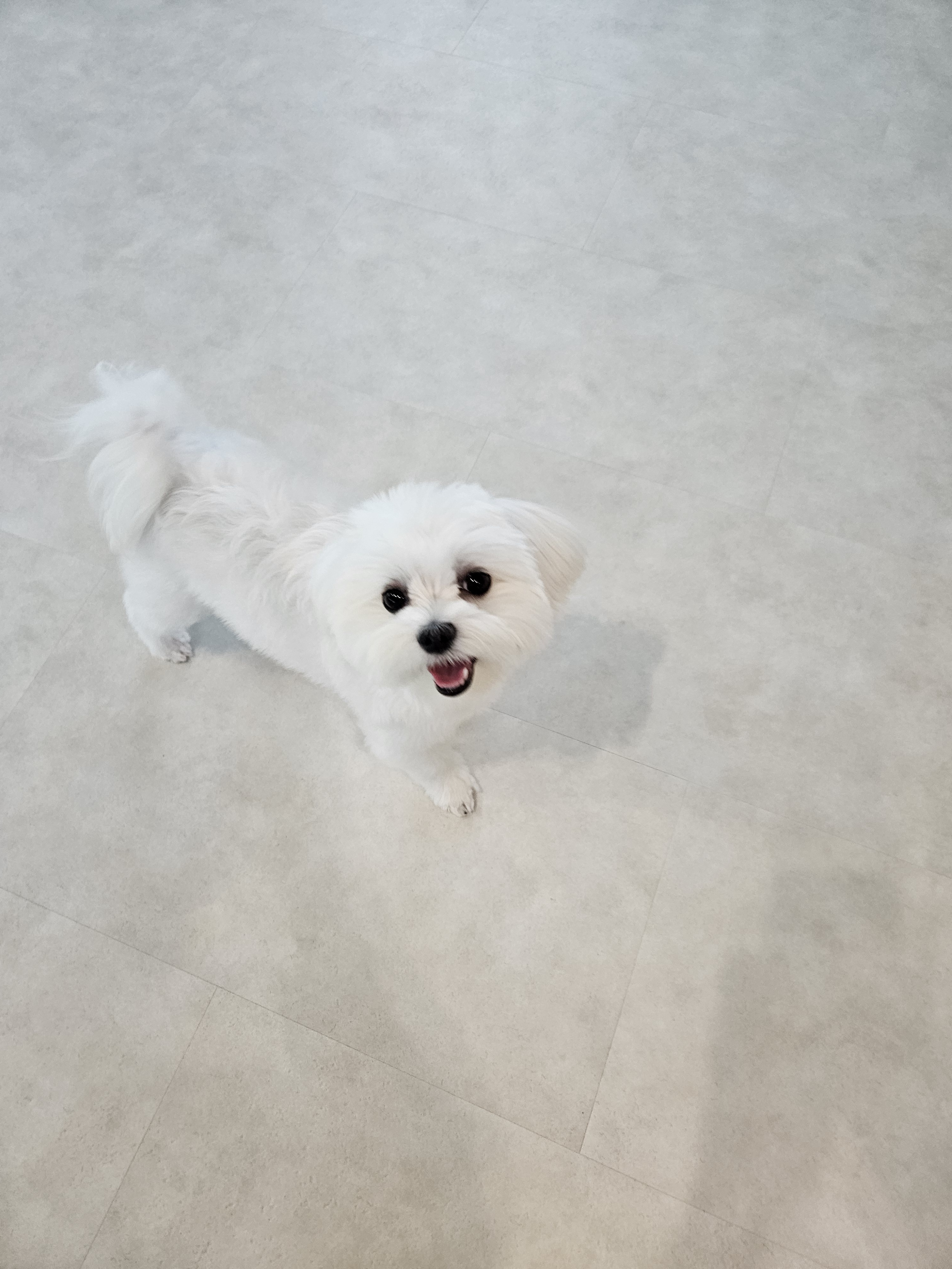 멍친카페 5