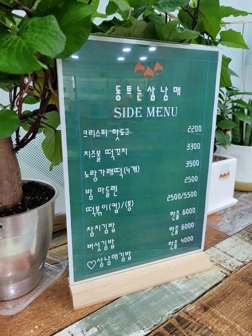 동트는 삼남매